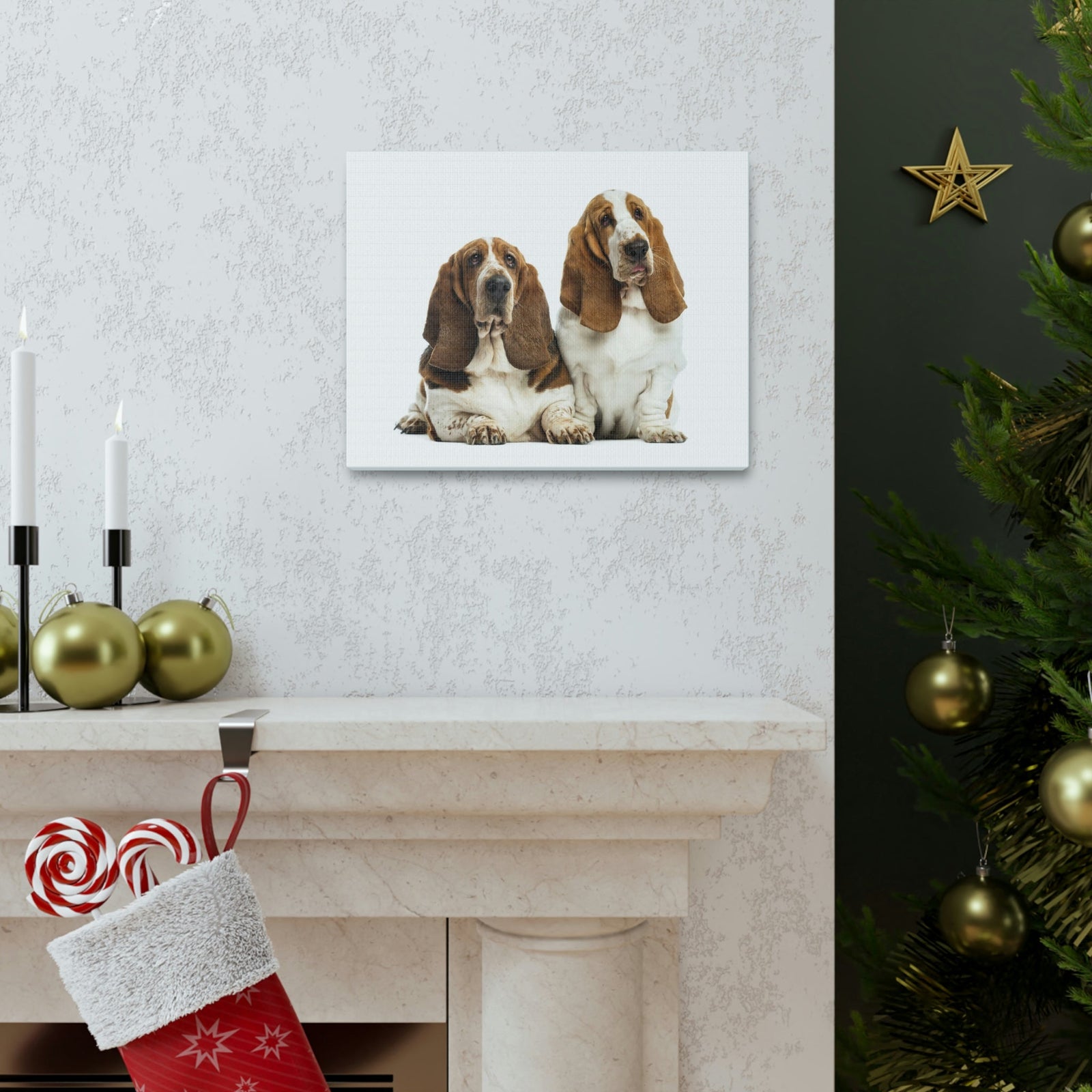 Scripture Walls Couple of Basset Hound Dogs Print Animal Wall Art Wildlife Canvas Prints Wall Art Ready to Hang Unframed-Express Your Love Gifts