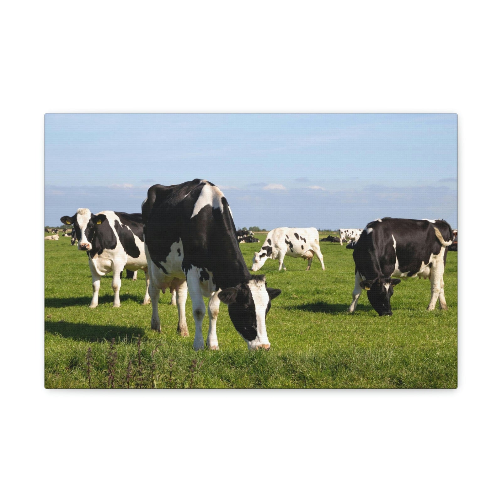 Scripture Walls Cow Couple Cow Troop Print Animal Wall Art Wildlife Canvas Prints Wall Art Ready to Hang Unframed-Express Your Love Gifts