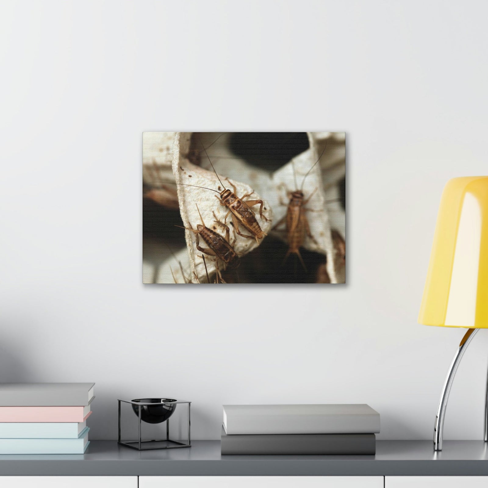 Scripture Walls Cricket Couple Cricket Troop Print Animal Wall Art Wildlife Canvas Prints Wall Art Ready to Hang Unframed-Express Your Love Gifts