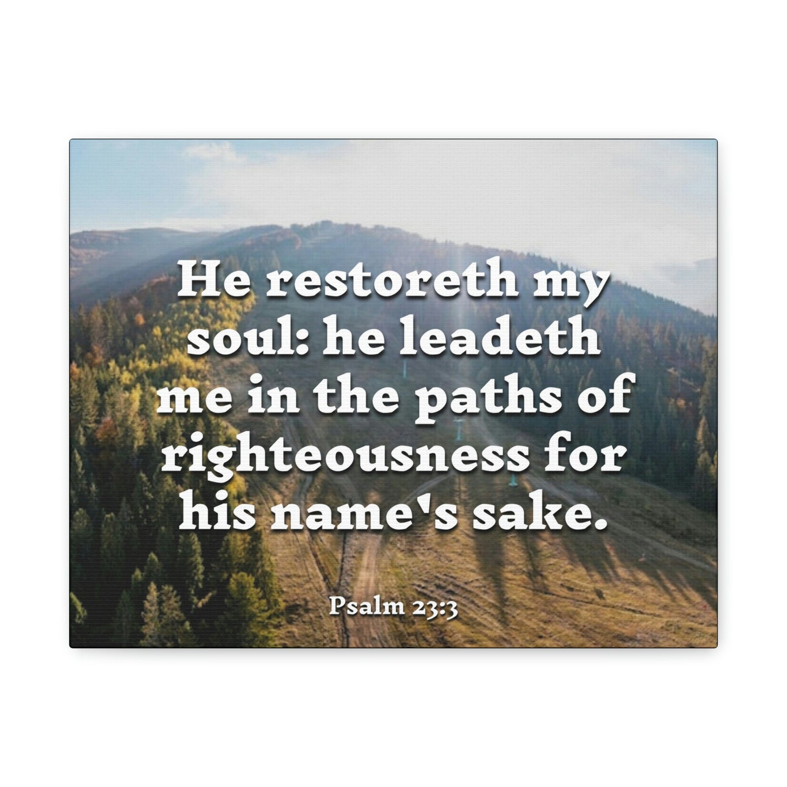 Scripture Walls Paths Of Righteousness Psalm 23:3 Christian Wall Art Bible Verse Print Ready to Hang-Express Your Love Gifts
