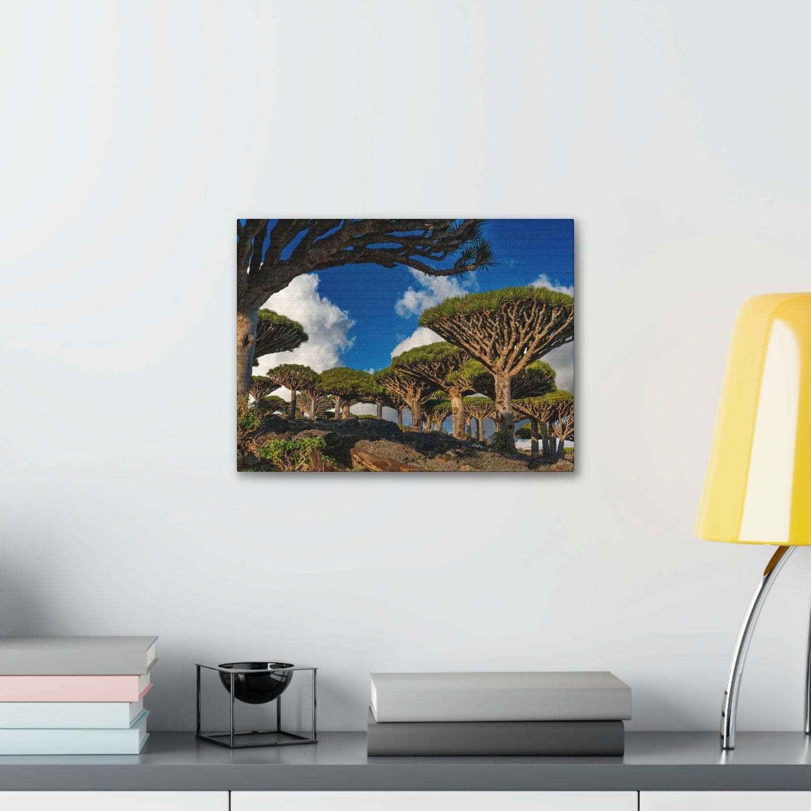 Forest Area With Lush Trees and Vegetation Scene Beautiful Amazing and Lovely Sea Beauty Nature Scene Big Mountains and Shore Wall Art Ready to Hang Unframed-Express Your Love Gifts