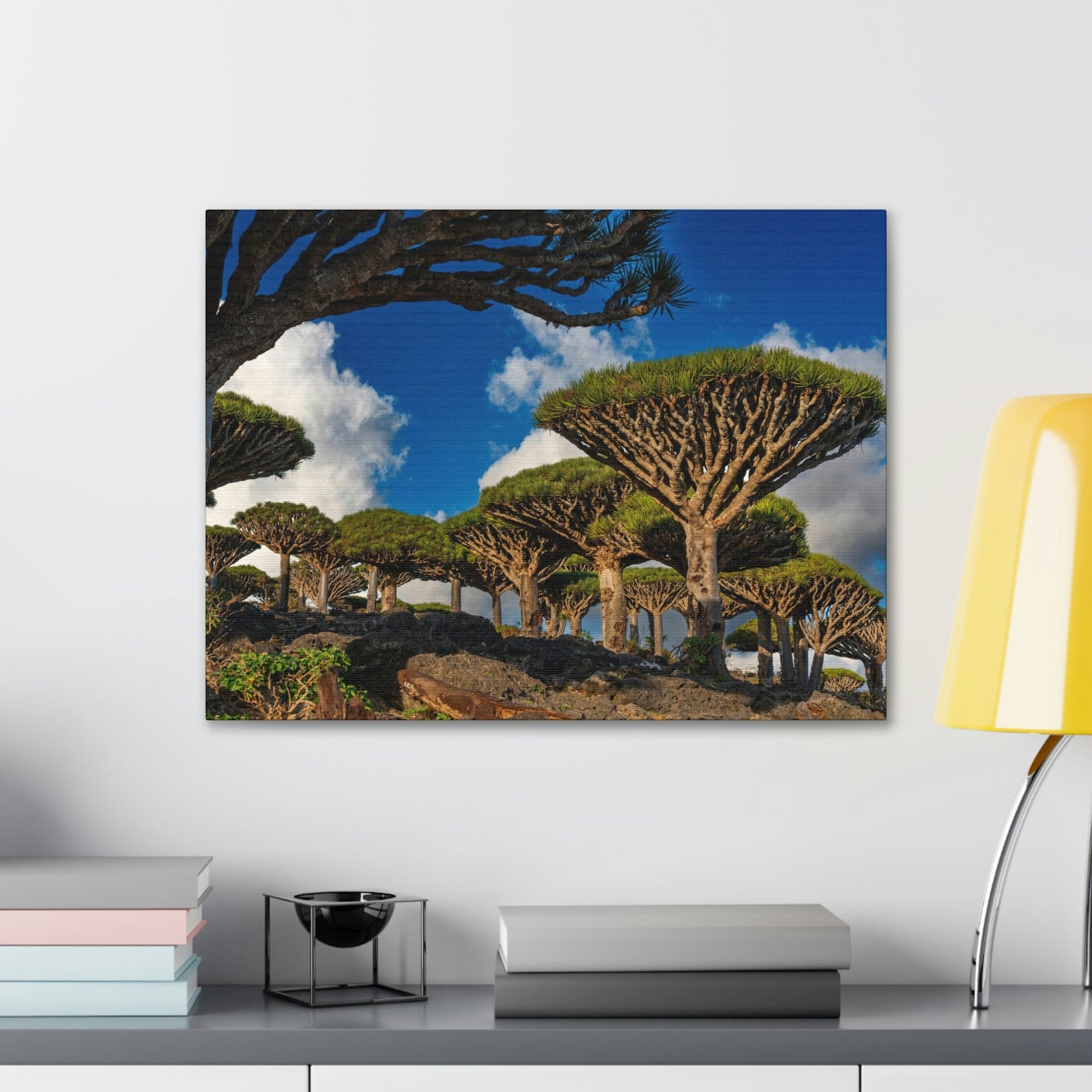 Forest Area With Lush Trees and Vegetation Scene Beautiful Amazing and Lovely Sea Beauty Nature Scene Big Mountains and Shore Wall Art Ready to Hang Unframed-Express Your Love Gifts