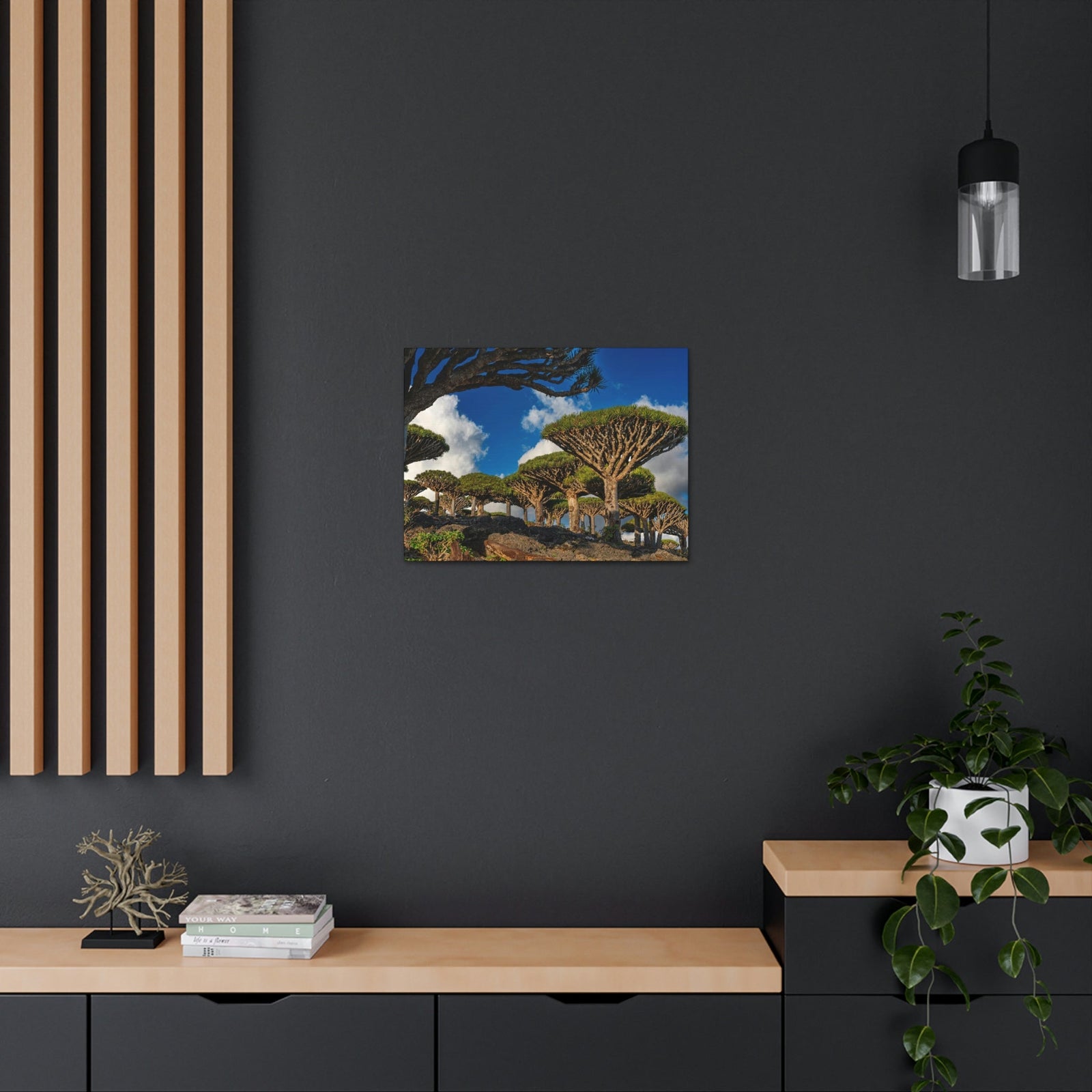Forest Area With Lush Trees and Vegetation Scene Beautiful Amazing and Lovely Sea Beauty Nature Scene Big Mountains and Shore Wall Art Ready to Hang Unframed-Express Your Love Gifts