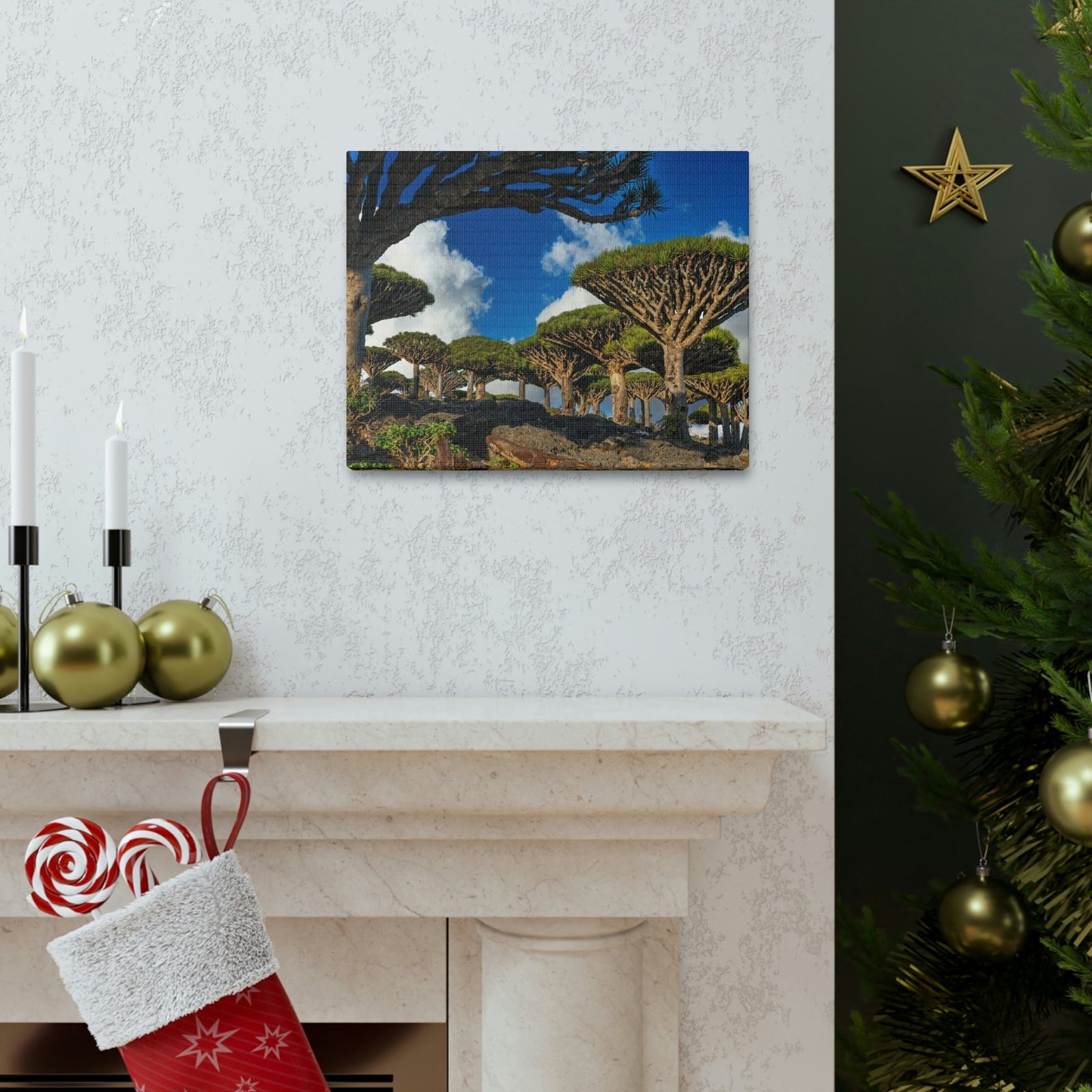 Forest Area With Lush Trees and Vegetation Scene Beautiful Amazing and Lovely Sea Beauty Nature Scene Big Mountains and Shore Wall Art Ready to Hang Unframed-Express Your Love Gifts