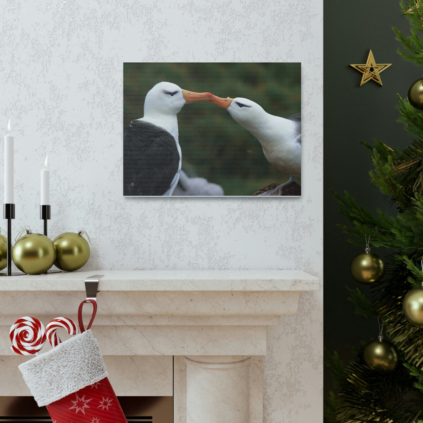 Funny Albatross Couple Kissing Outside Wall Art Ready to Hang Unframed-Express Your Love Gifts