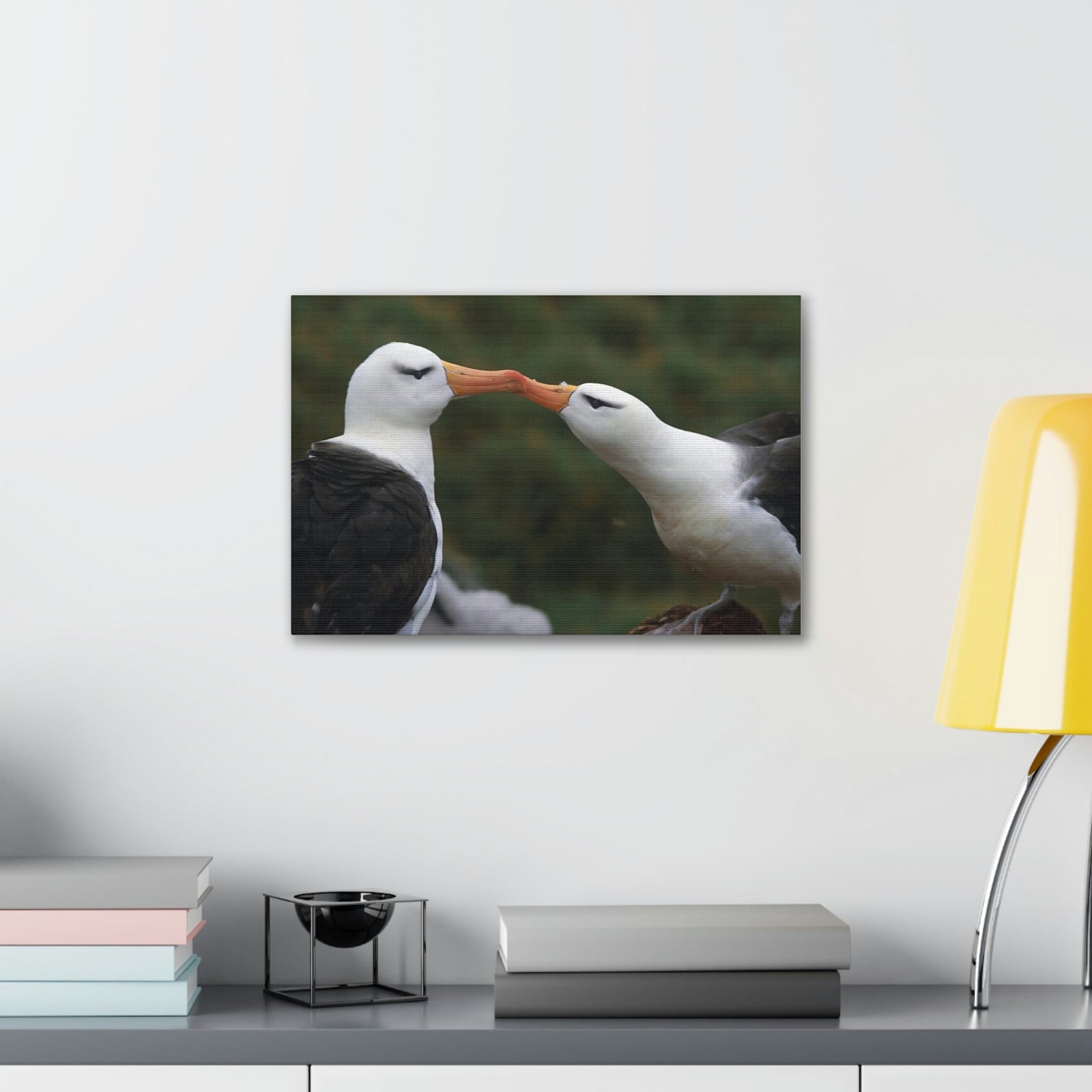 Funny Albatross Couple Kissing Outside Wall Art Ready to Hang Unframed-Express Your Love Gifts