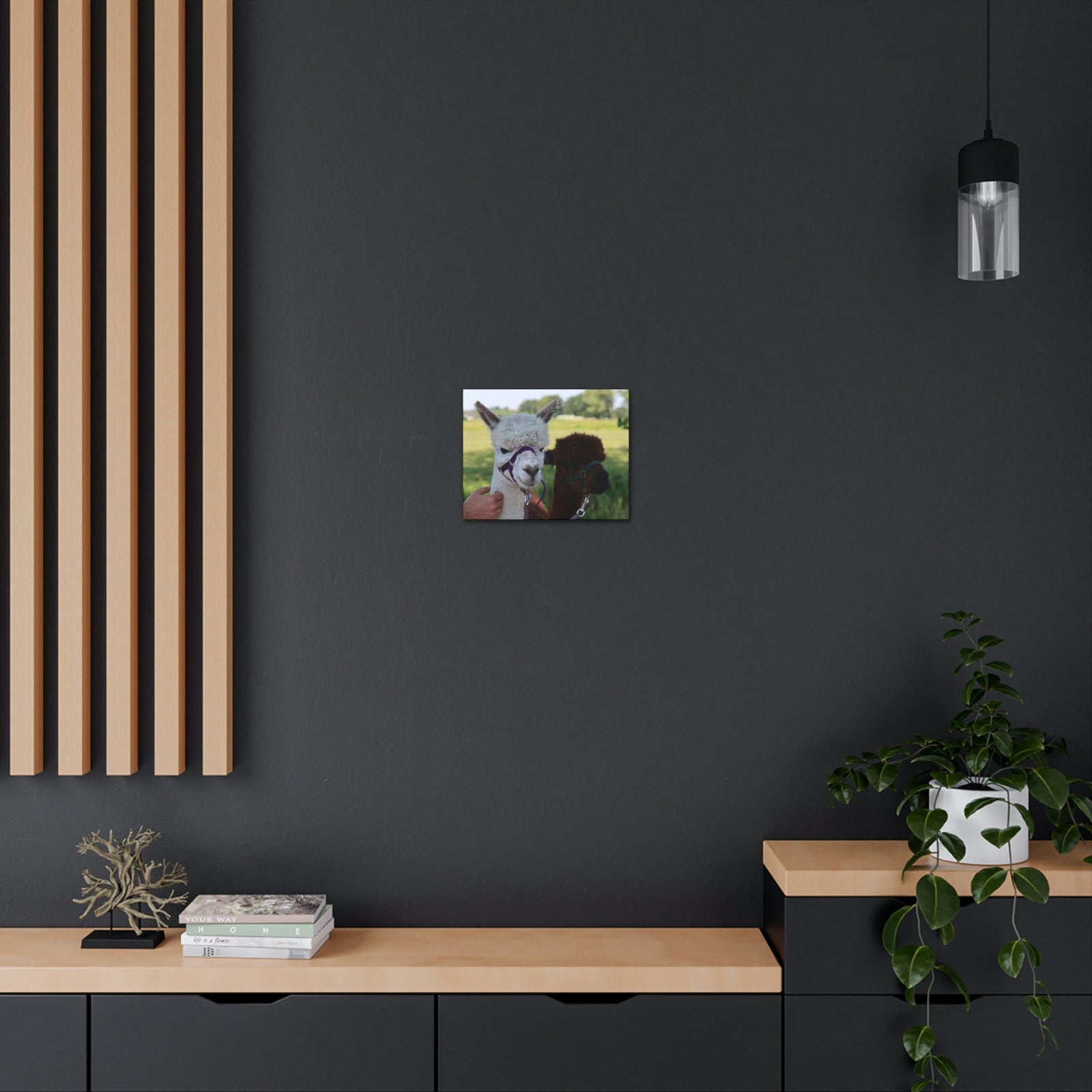 Funny Alpaca Couple Outside Wall Art Ready to Hang Unframed-Express Your Love Gifts