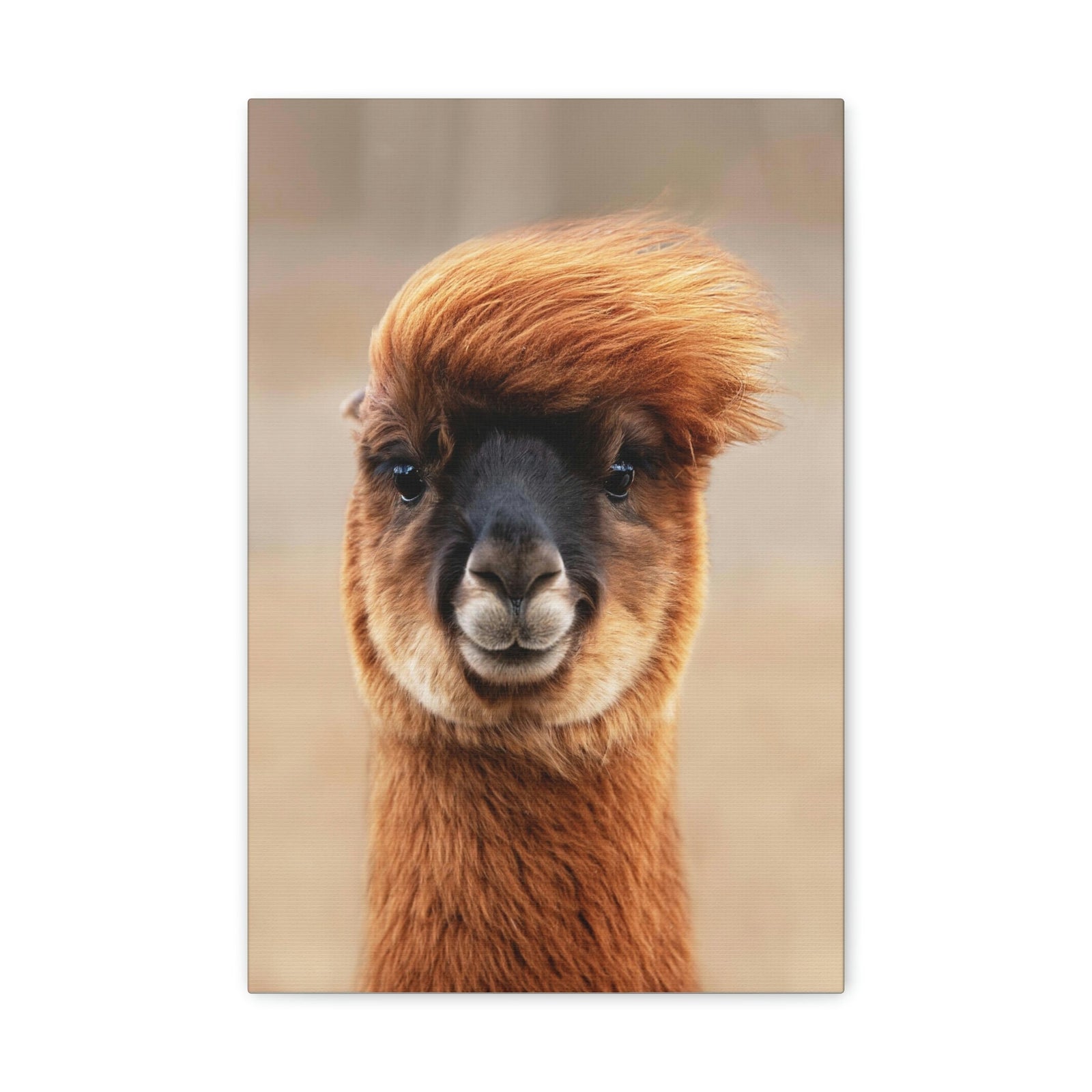 Funny Alpaca Selfie Outside Wall Art Ready to Hang Unframed-Express Your Love Gifts