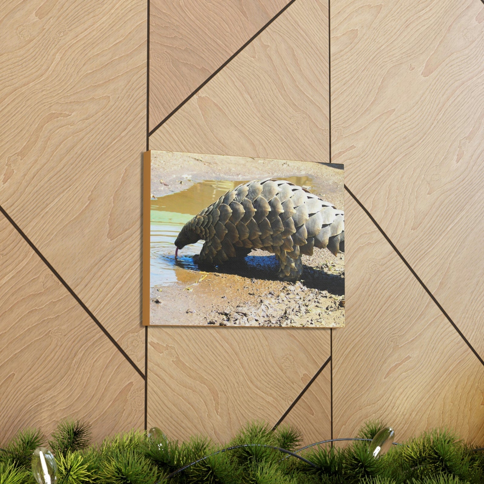 Funny Pangolin Silly African Tree Pangolin Outside Wall Art Ready to Hang Unframed-Express Your Love Gifts