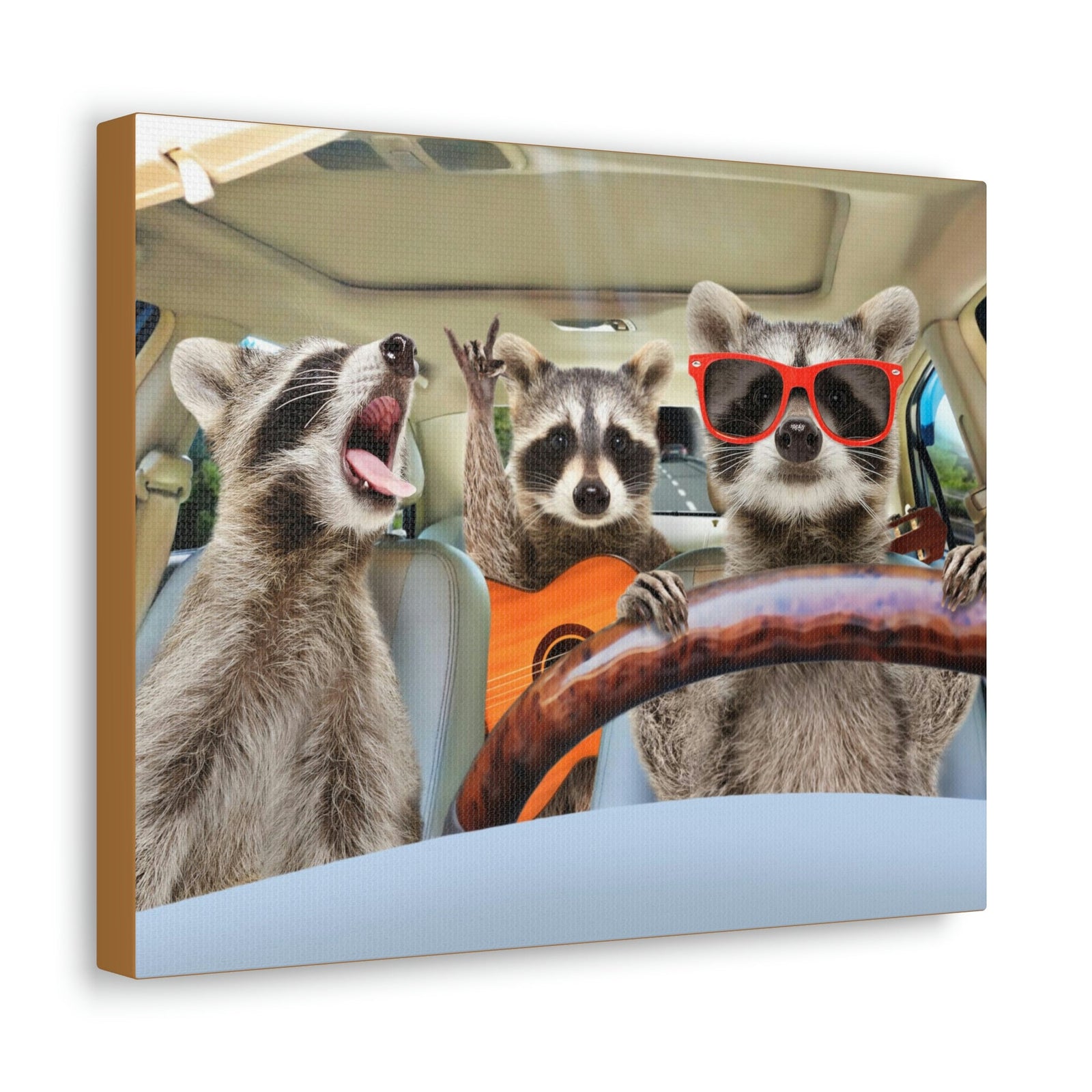 Funny Raccoon Silly Raccoon Couple Wall Art Ready to Hang Unframed-Express Your Love Gifts