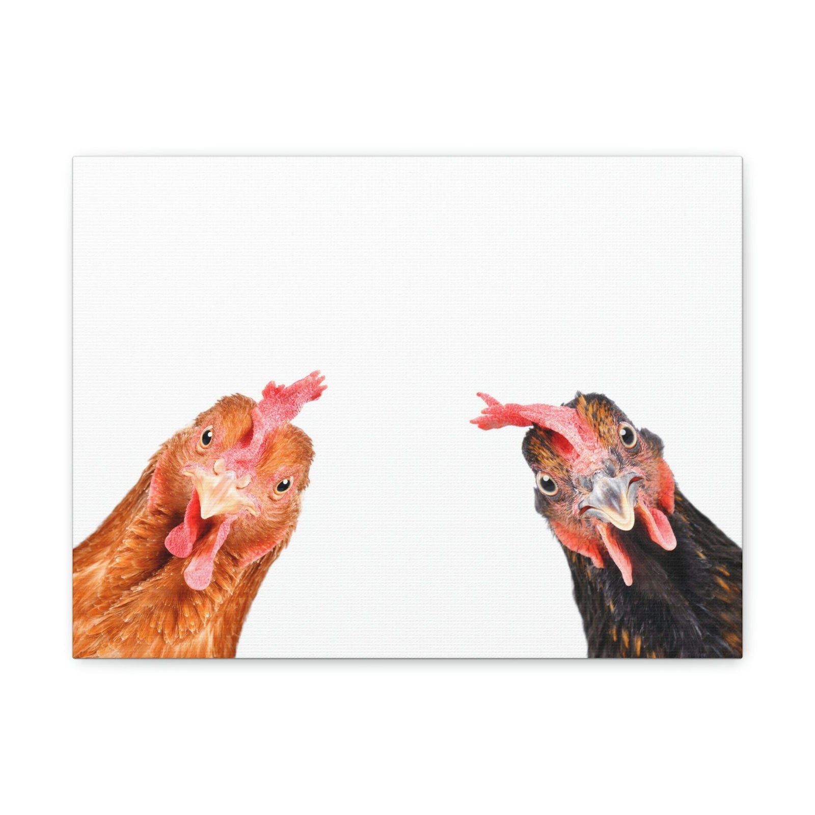 Funny Rooster Silly Rooster Couple Wall Art Ready to Hang Unframed-Express Your Love Gifts