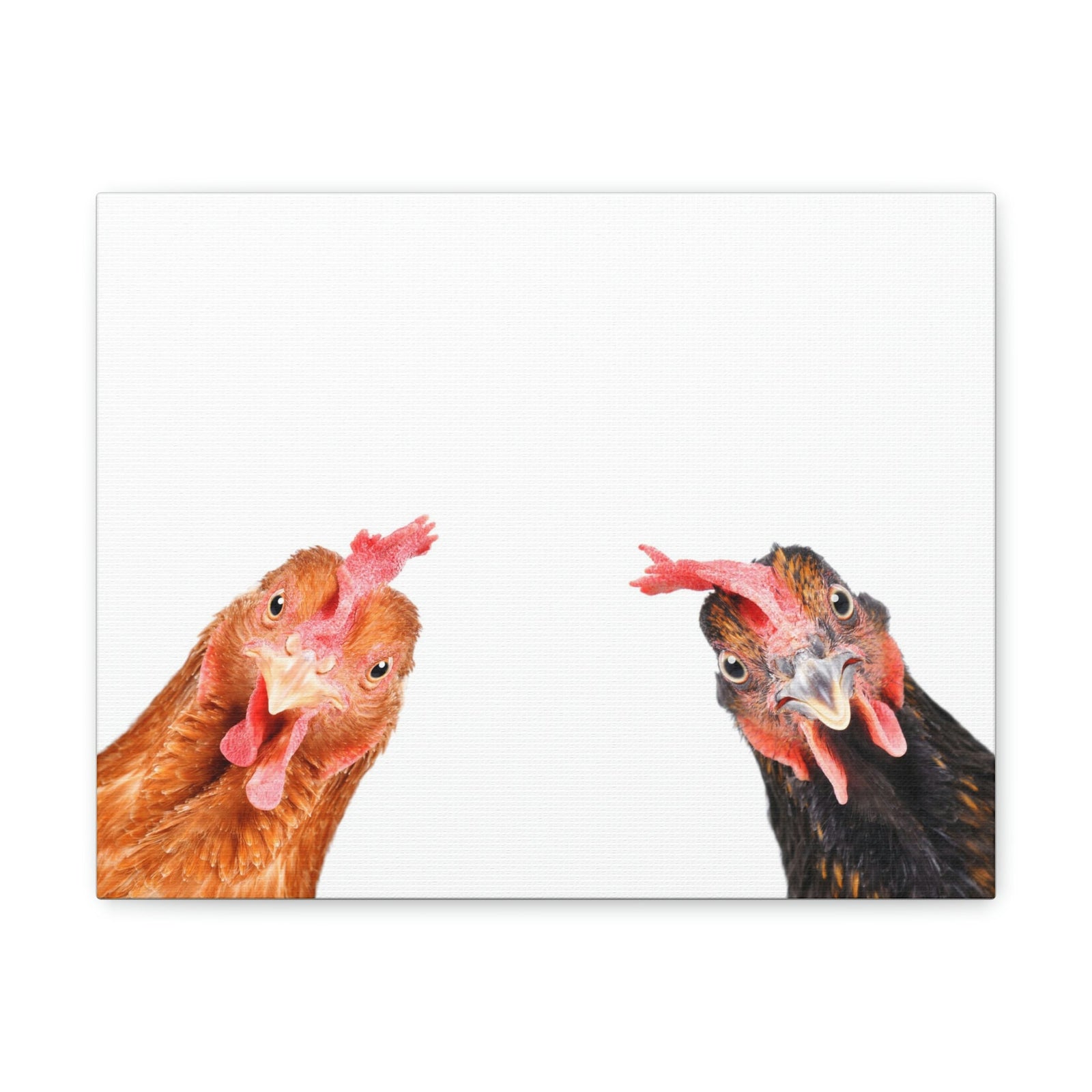 Funny Rooster Silly Rooster Couple Wall Art Ready to Hang Unframed-Express Your Love Gifts