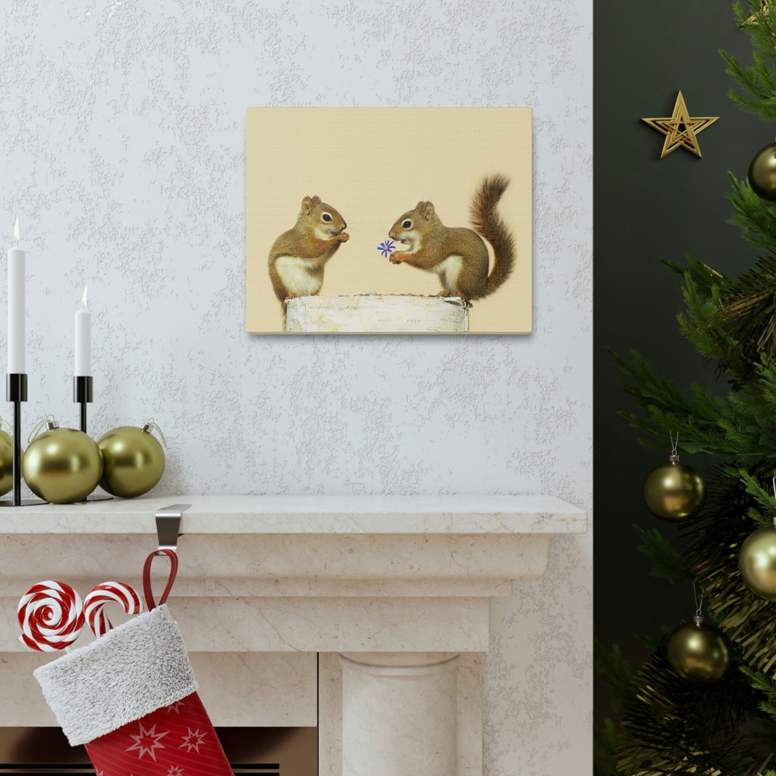 Funny Squirrel Silly Squirrel Couple Wall Art Ready To Hang Unframed-Express Your Love Gifts