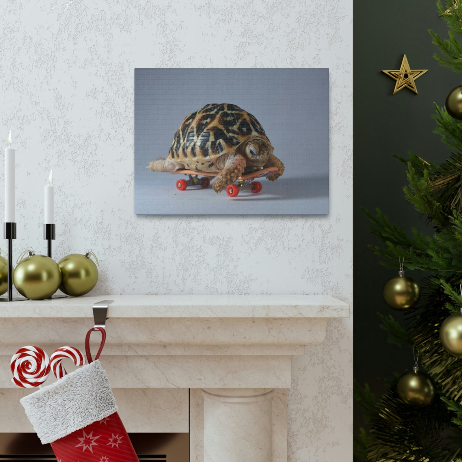 Funny Tortoise Silly Tortoise Inside Wall Art Ready to Hang Unframed-Express Your Love Gifts