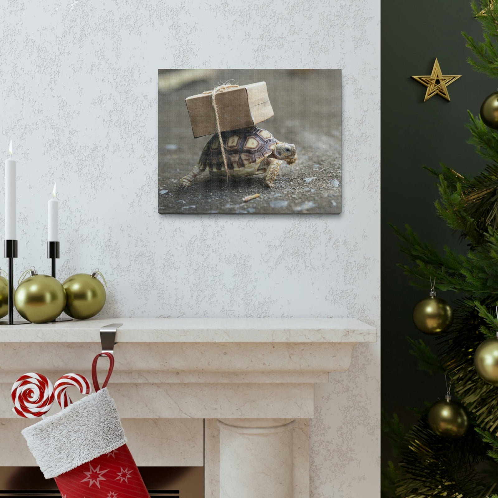 Funny Tortoise Silly Tortoise Outside Wall Art Ready to Hang Unframed-Express Your Love Gifts