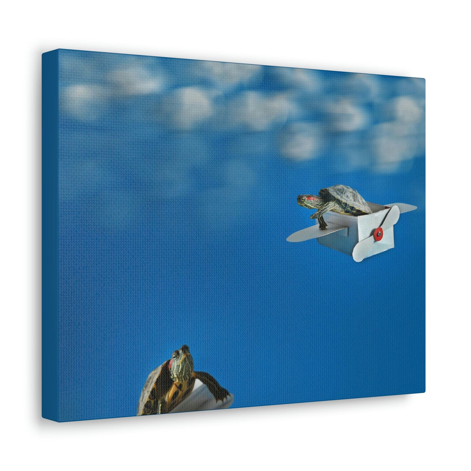 Funny Turtle Silly Turtle Couple Wall Art Ready to Hang Unframed-Express Your Love Gifts