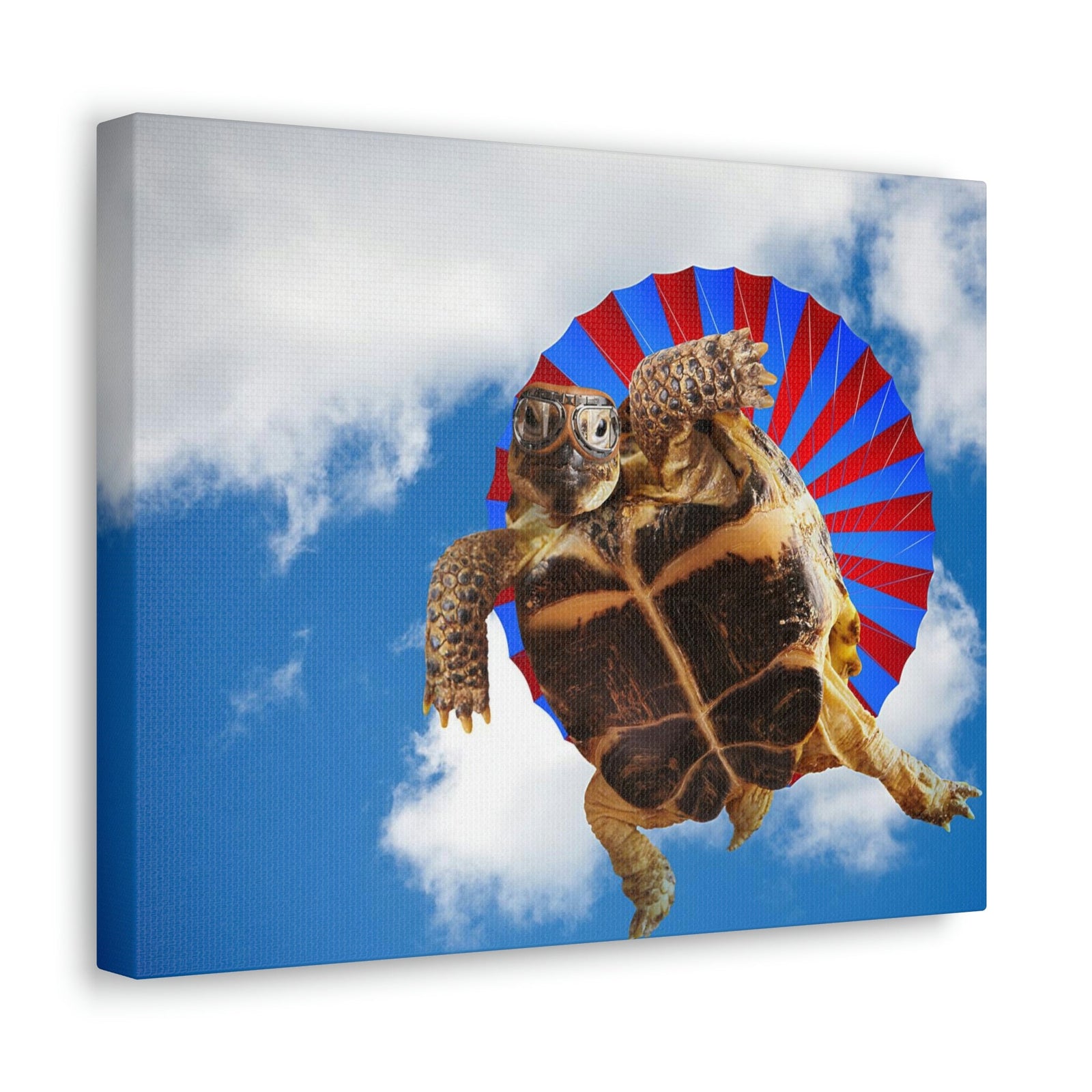 Funny Turtle Silly Turtle Outside Wall Art Ready to Hang Unframed-Express Your Love Gifts