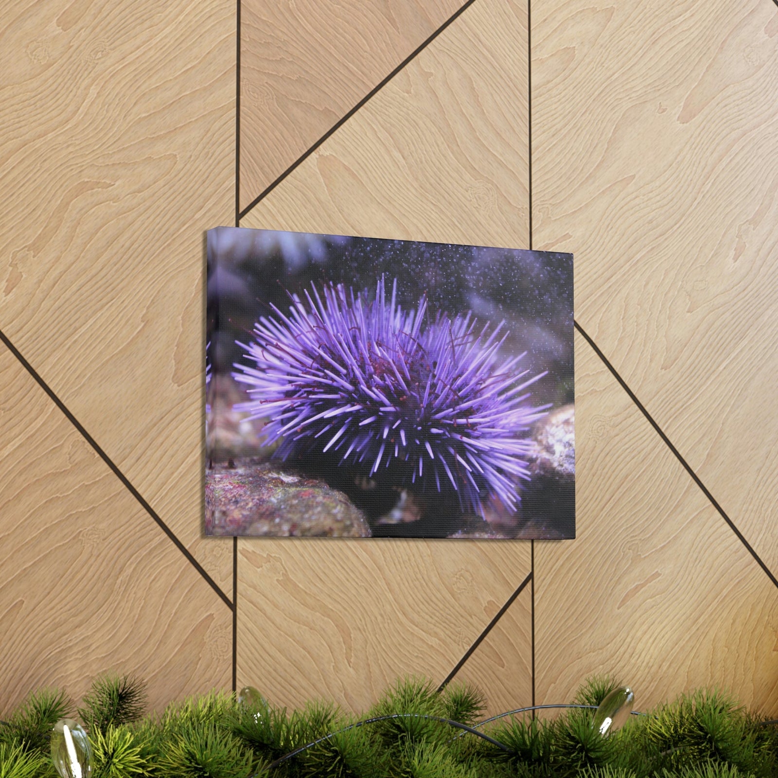 Funny Urchin Silly Urchin Scene Outside Wall Art Ready to Hang Unframed-Express Your Love Gifts