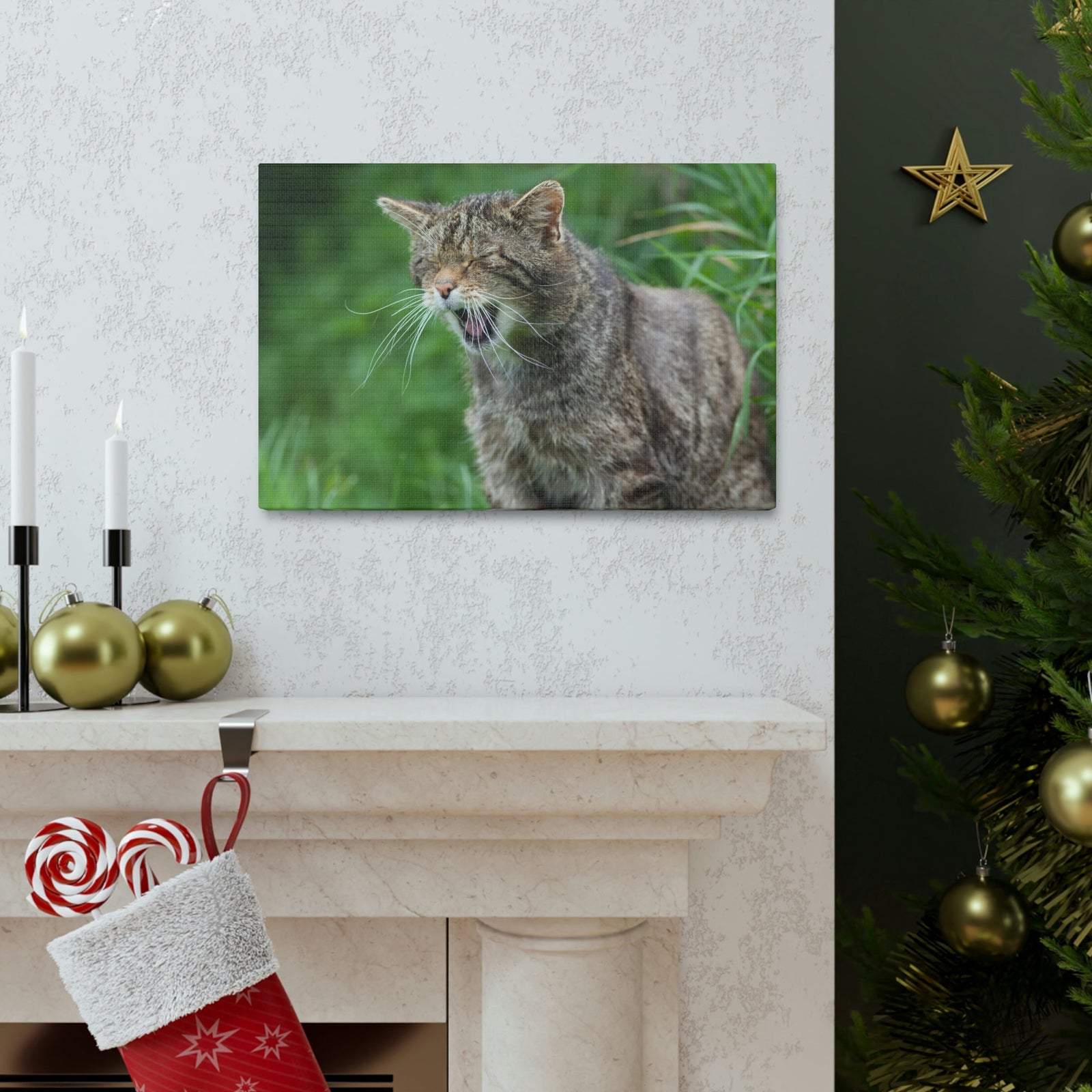 Funny Wildcat Silly Wildcat Scene Outside Wall Art Ready to Hang Unframed-Express Your Love Gifts