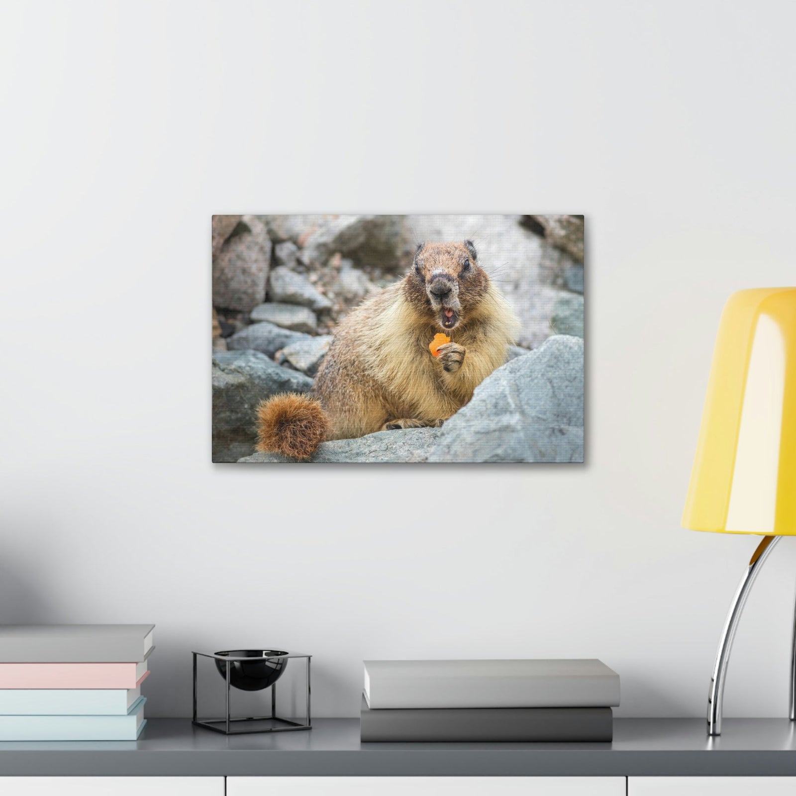 Funny Yellow Bellied Marmot Silly Yellow Bellied Marmot Scene Outdoor Wall Art Ready to Hang Unframed-Express Your Love Gifts