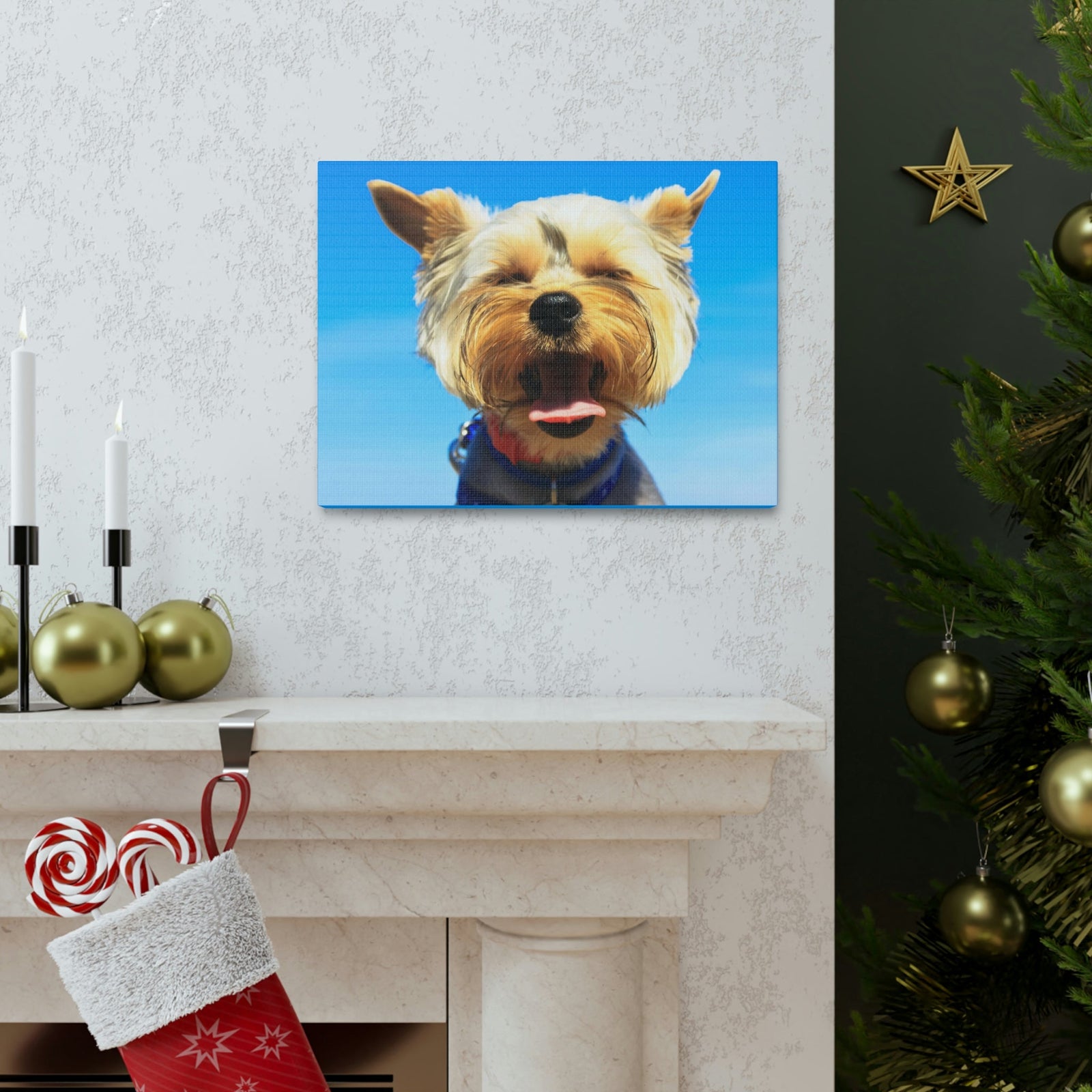 Funny Yorkshire Terrier Silly Yorkshire Terrier Outside Wall Art Ready to Hang Unframed-Express Your Love Gifts