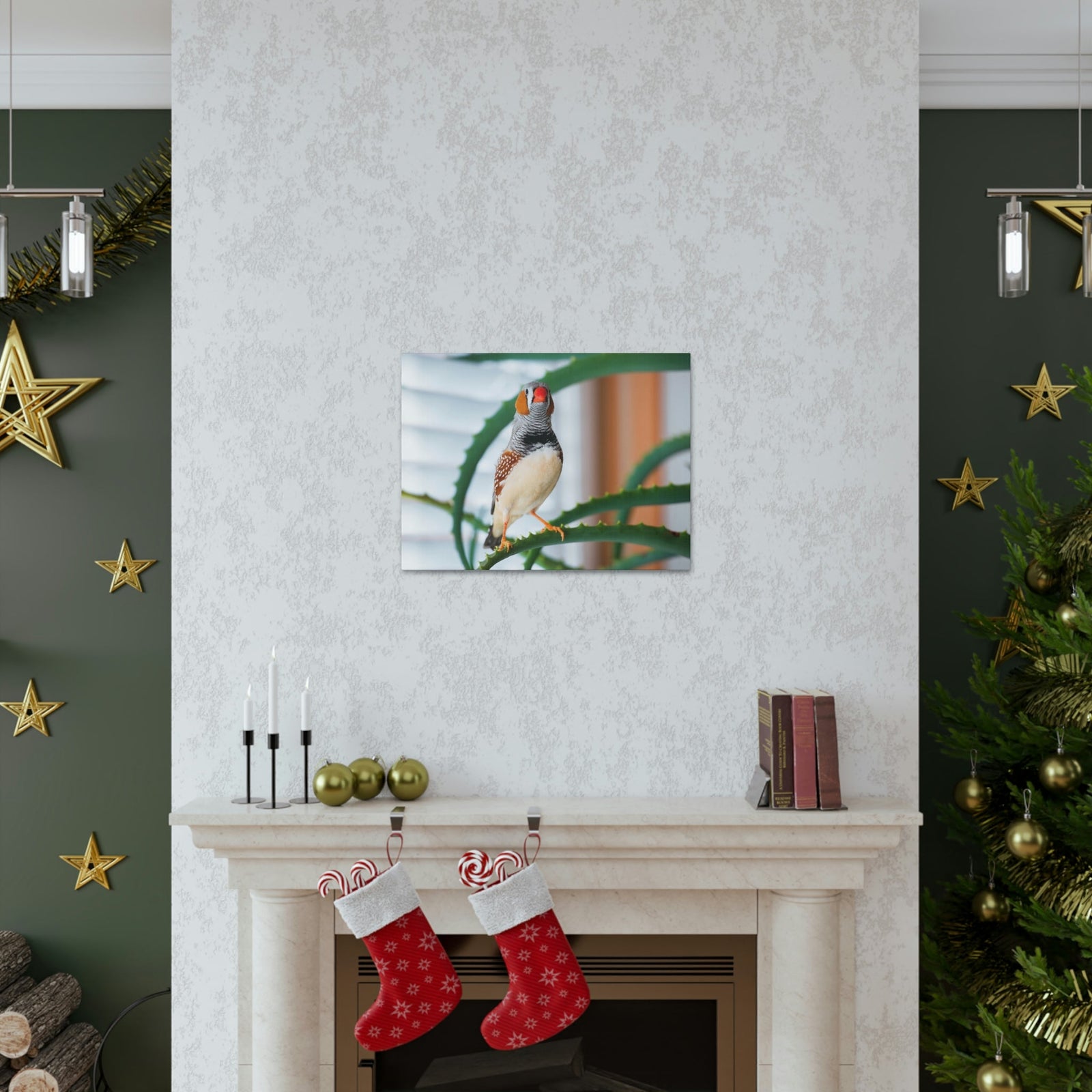 Funny Zebra Finch Silly Zebra Finch Scene Inside Wall Art Ready to Hang Unframed-Express Your Love Gifts