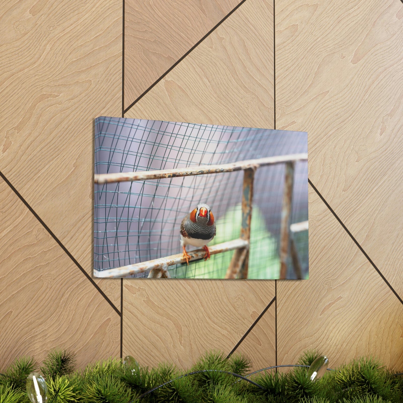 Funny Zebra Finch Silly Zebra Finch Scene Outside Wall Art Ready to Hang Unframed-Express Your Love Gifts