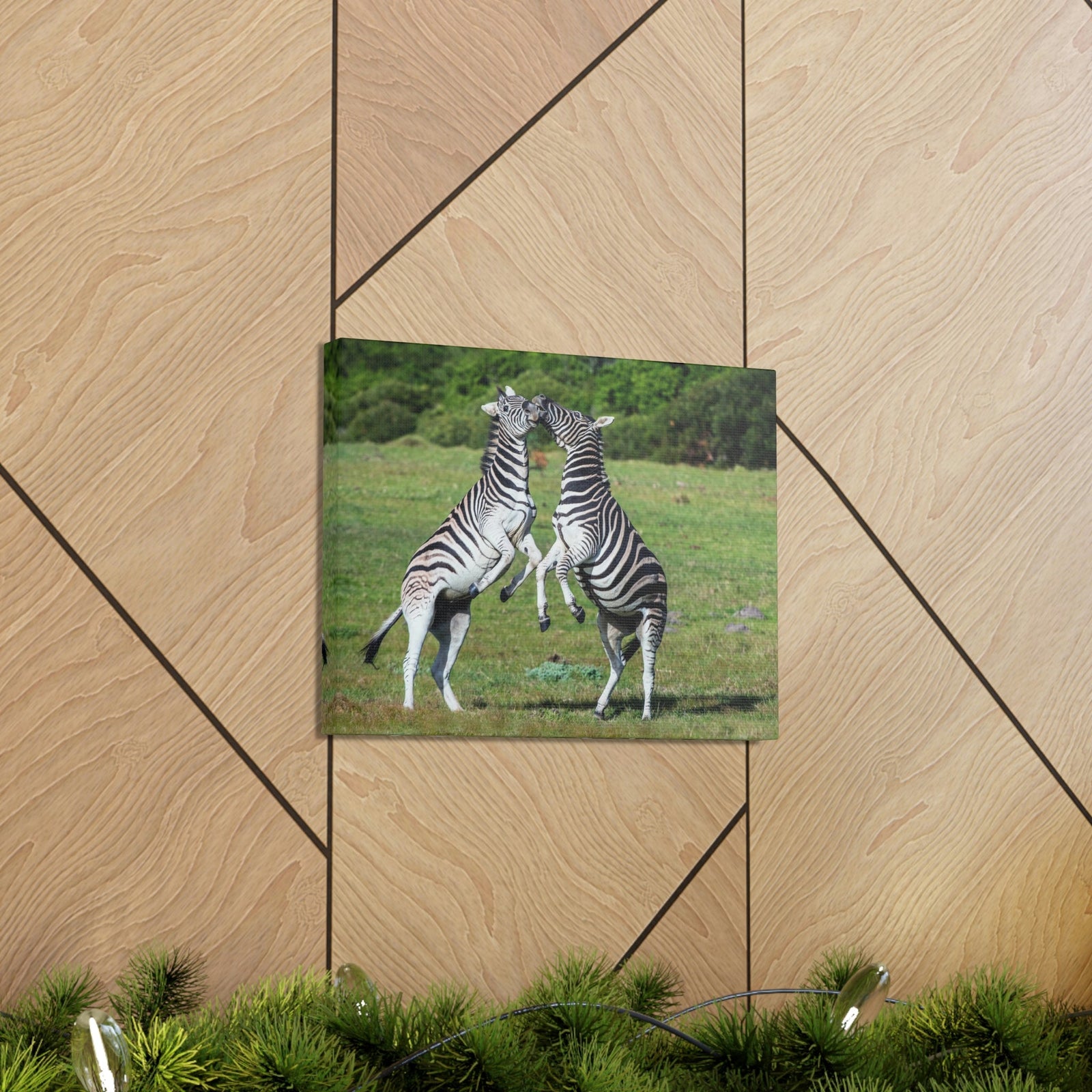 Funny Zebra Silly Zebra Scene Couple Wall Art Ready to Hang Unframed-Express Your Love Gifts