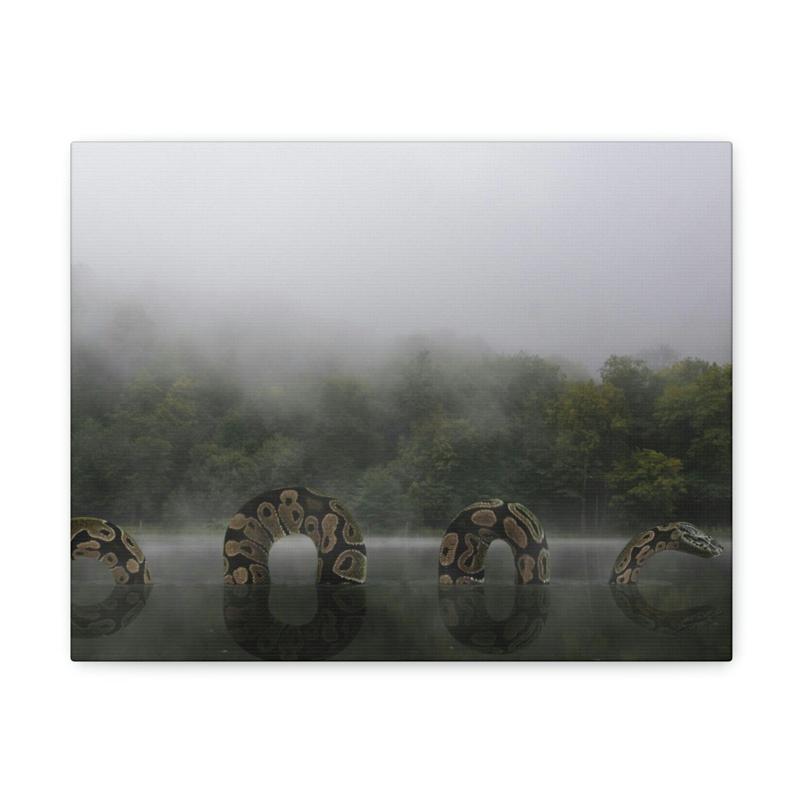 Giant Anaconda In Lake Anaconda Frightening Outside Wall Art Ready To Hang Unframed-Express Your Love Gifts