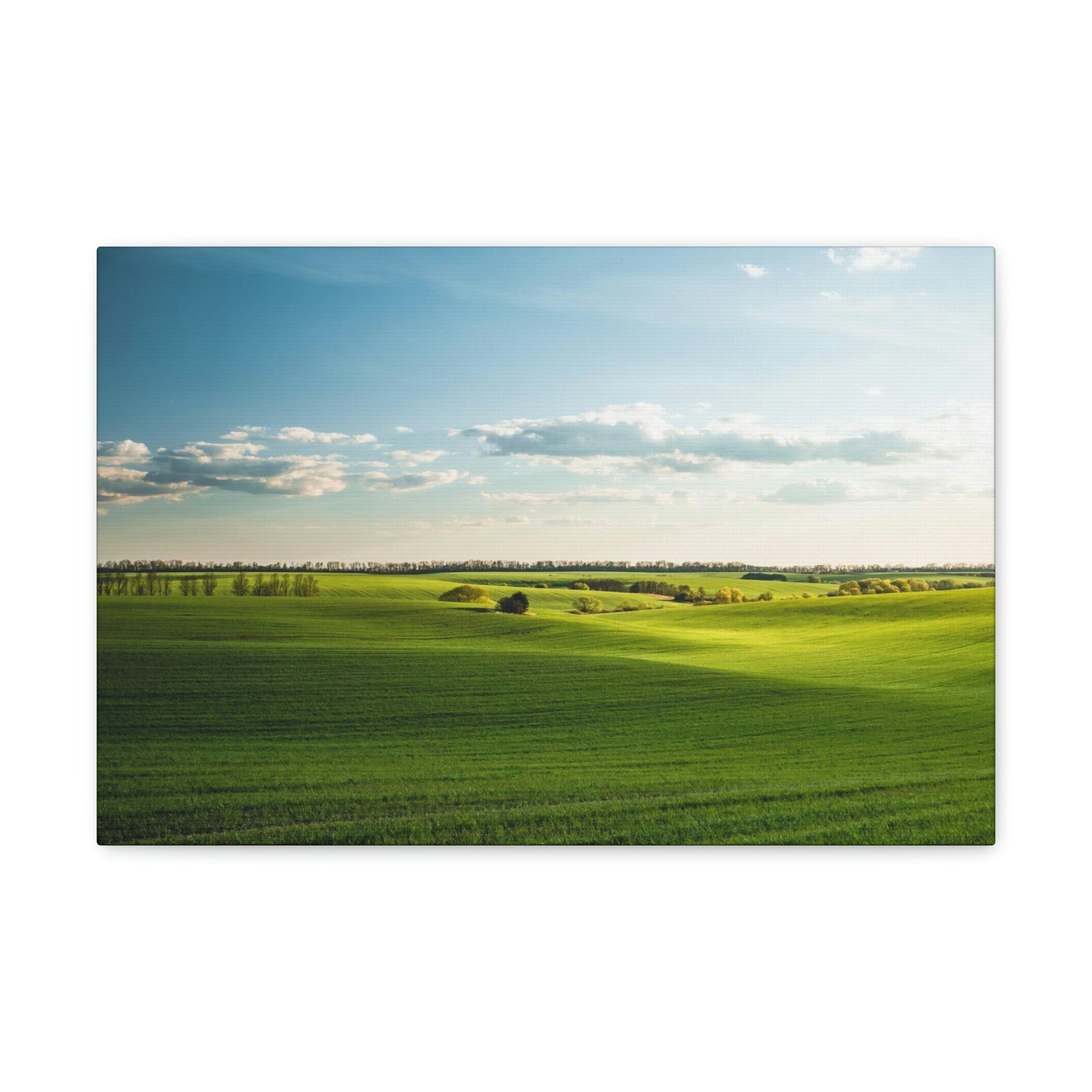 Glamorous Green Wavy Fields Scene Beautiful Astonishing and Splendid Farm Beauty Nature Scene Summer on the Farm Wall Art Ready to Hang Unframed-Express Your Love Gifts