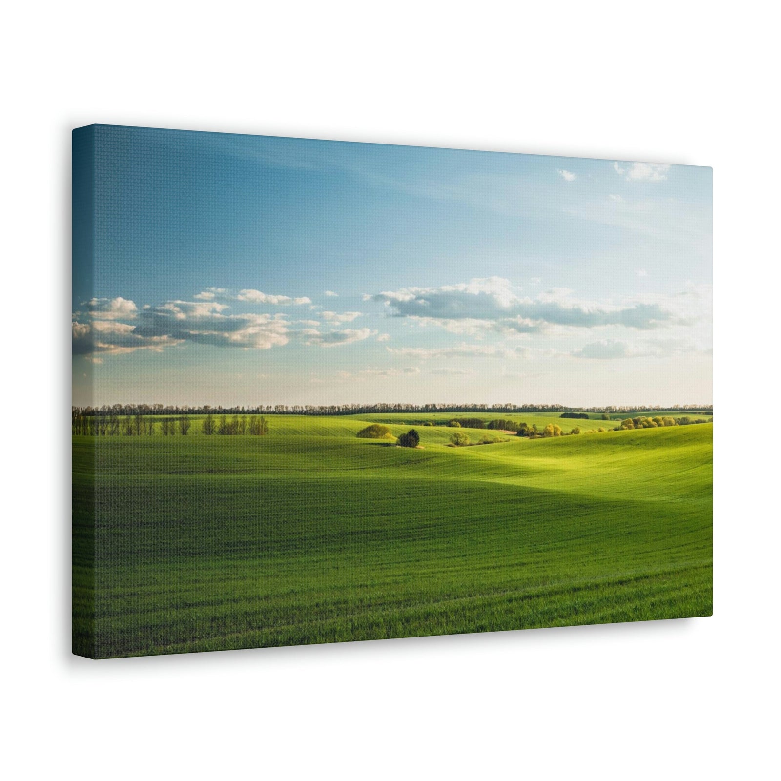 Glamorous Green Wavy Fields Scene Beautiful Astonishing and Splendid Farm Beauty Nature Scene Summer on the Farm Wall Art Ready to Hang Unframed-Express Your Love Gifts