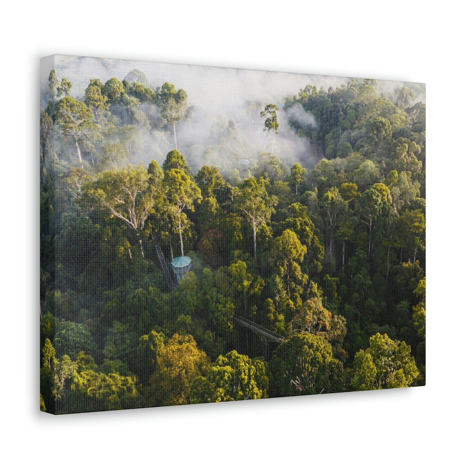 Gorgeous Misty Rainforest Scene Beautiful Enthralling and Captivating Beauty Nature Scene Aerial View of Rainforest Wall Art Ready to Hang Unframed-Express Your Love Gifts