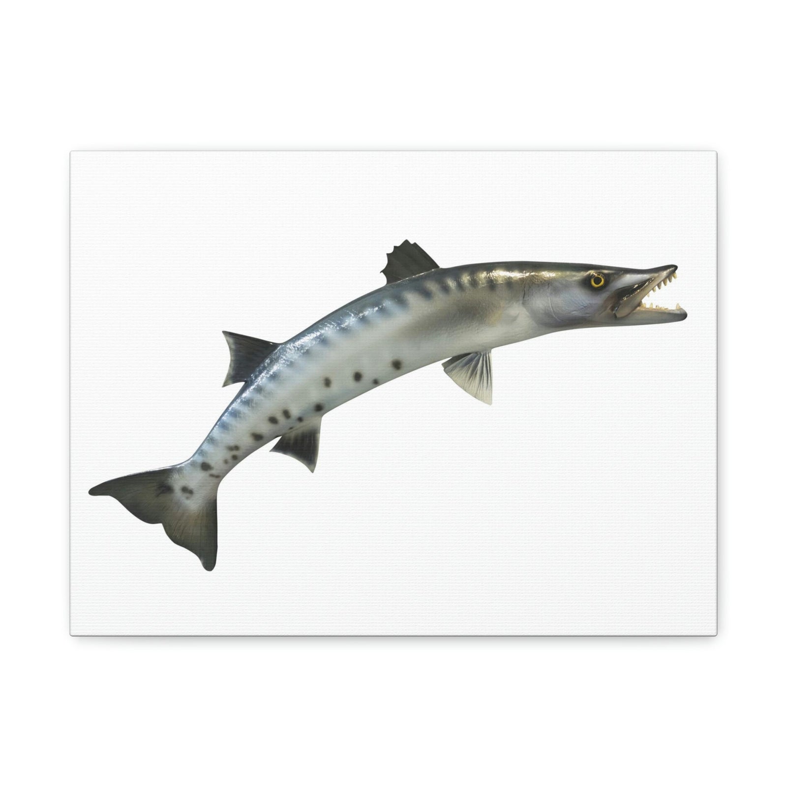 Great Baracuda Outside Wall Art Ready to Hang Unframed-Express Your Love Gifts