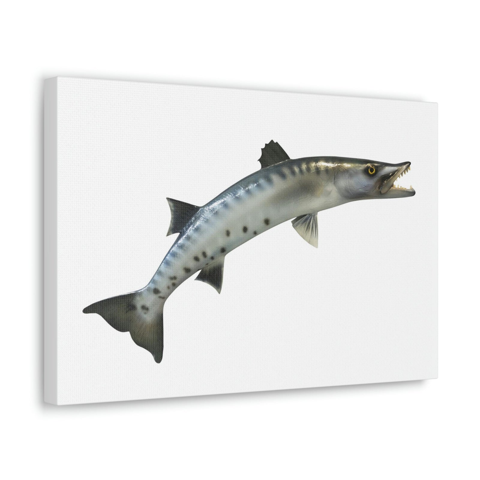 Great Baracuda Outside Wall Art Ready to Hang Unframed-Express Your Love Gifts