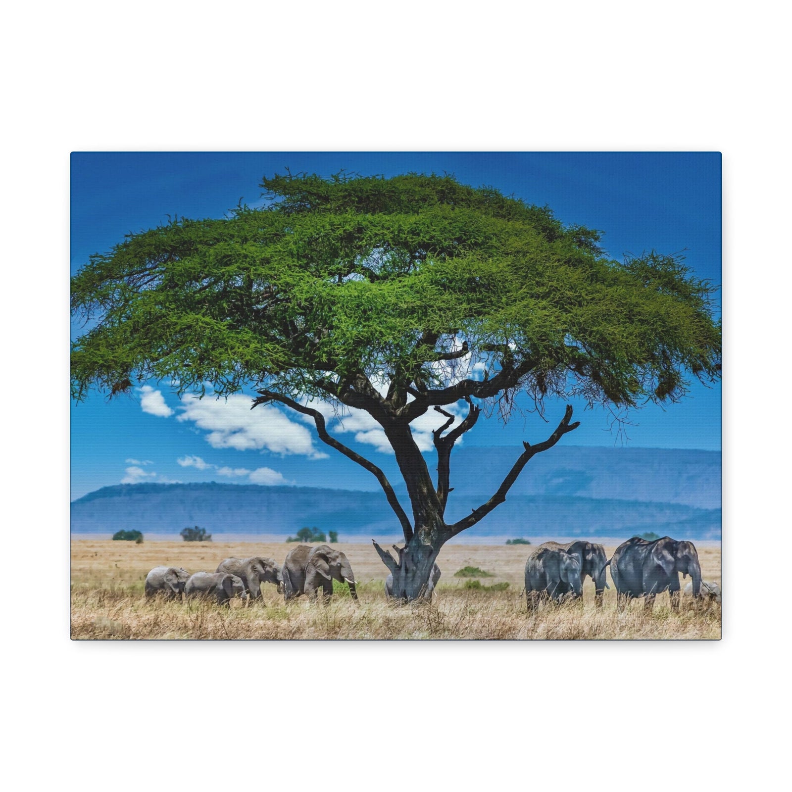 Group of African Elephant Under a Tree Outdoor Wall Art Ready To Hang Unframed-Express Your Love Gifts