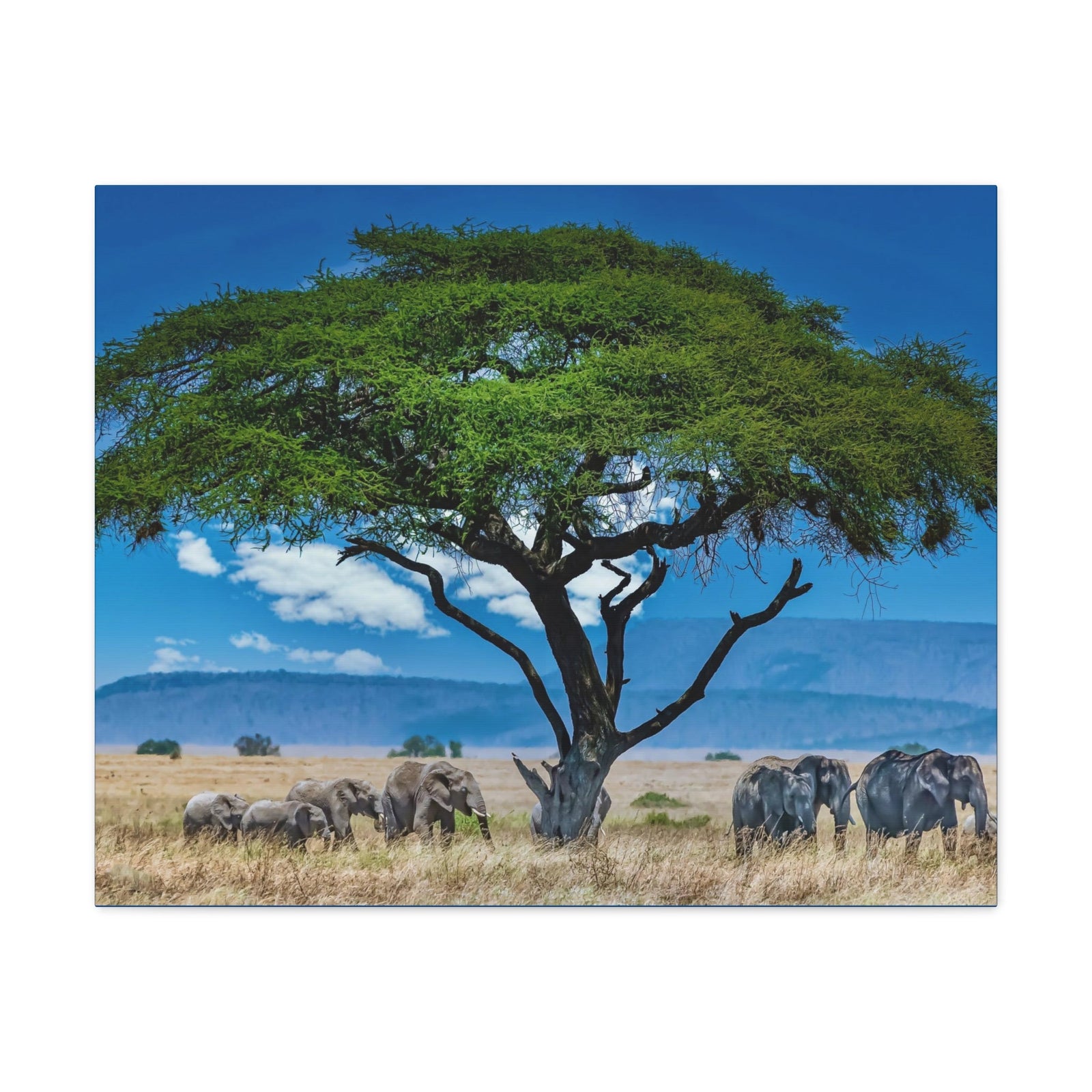 Group of African Elephant Under a Tree Outdoor Wall Art Ready To Hang Unframed-Express Your Love Gifts