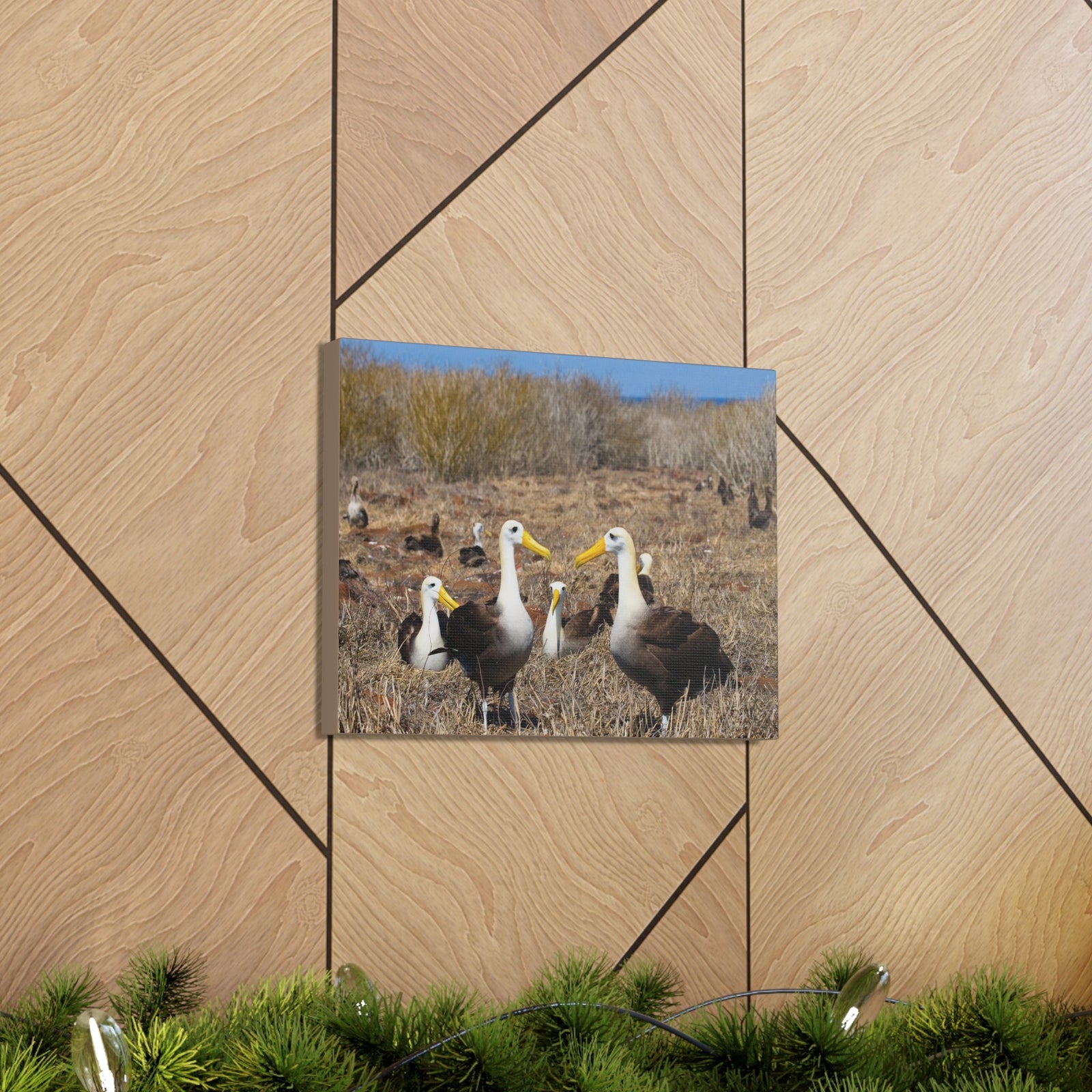 Group of Albatross Unframed-Express Your Love Gifts
