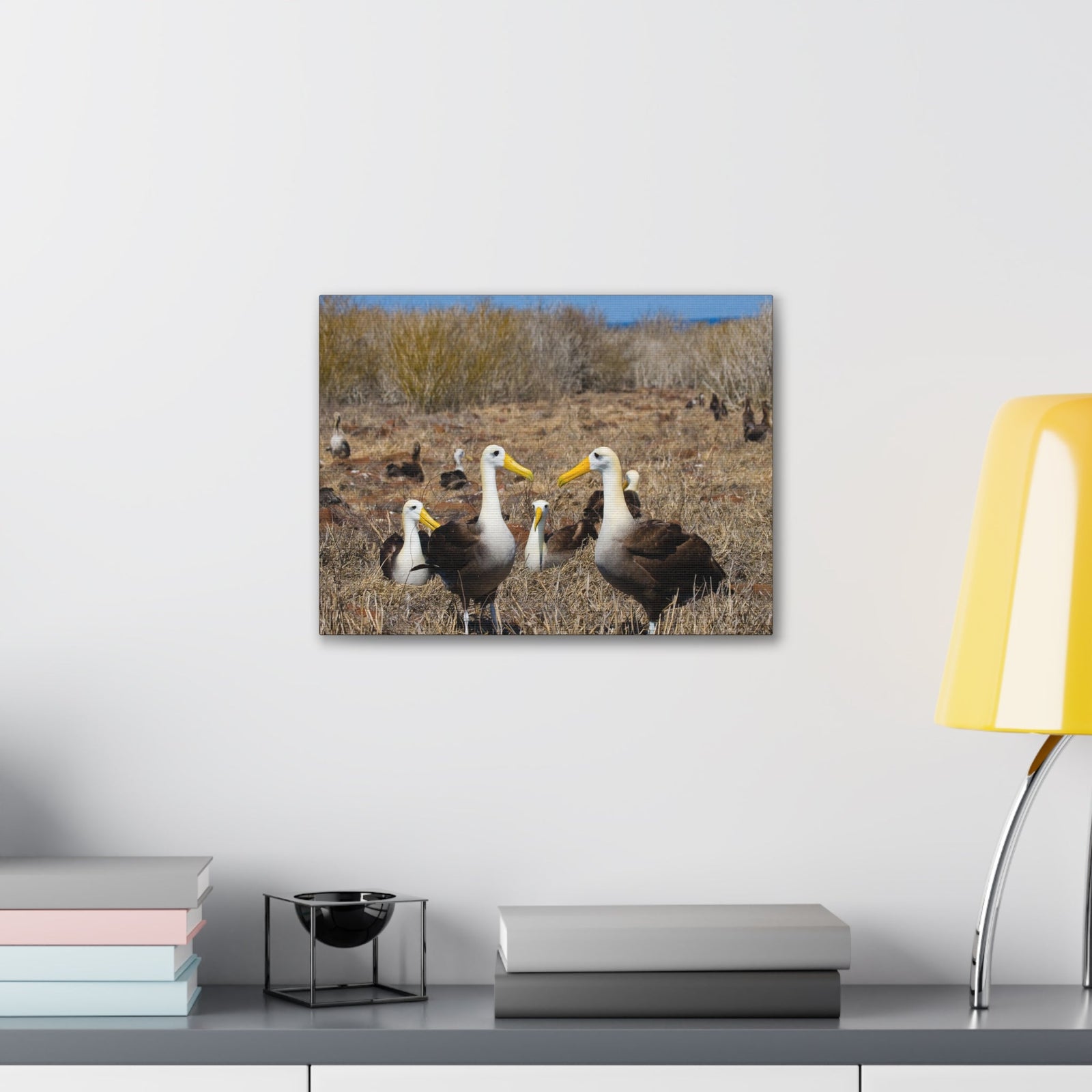 Group of Albatross Unframed-Express Your Love Gifts