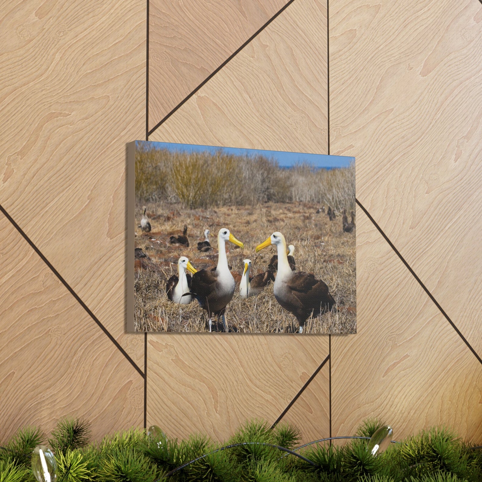 Group of Albatross Unframed-Express Your Love Gifts