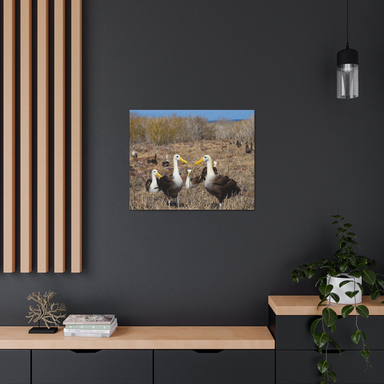 Group of Albatross Unframed-Express Your Love Gifts