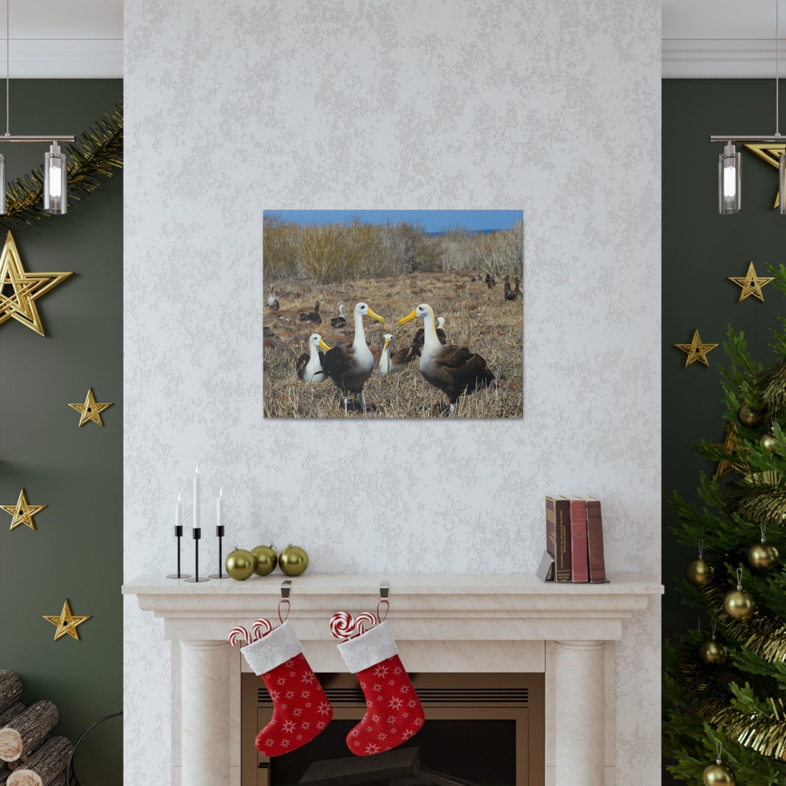 Group of Albatross Unframed-Express Your Love Gifts