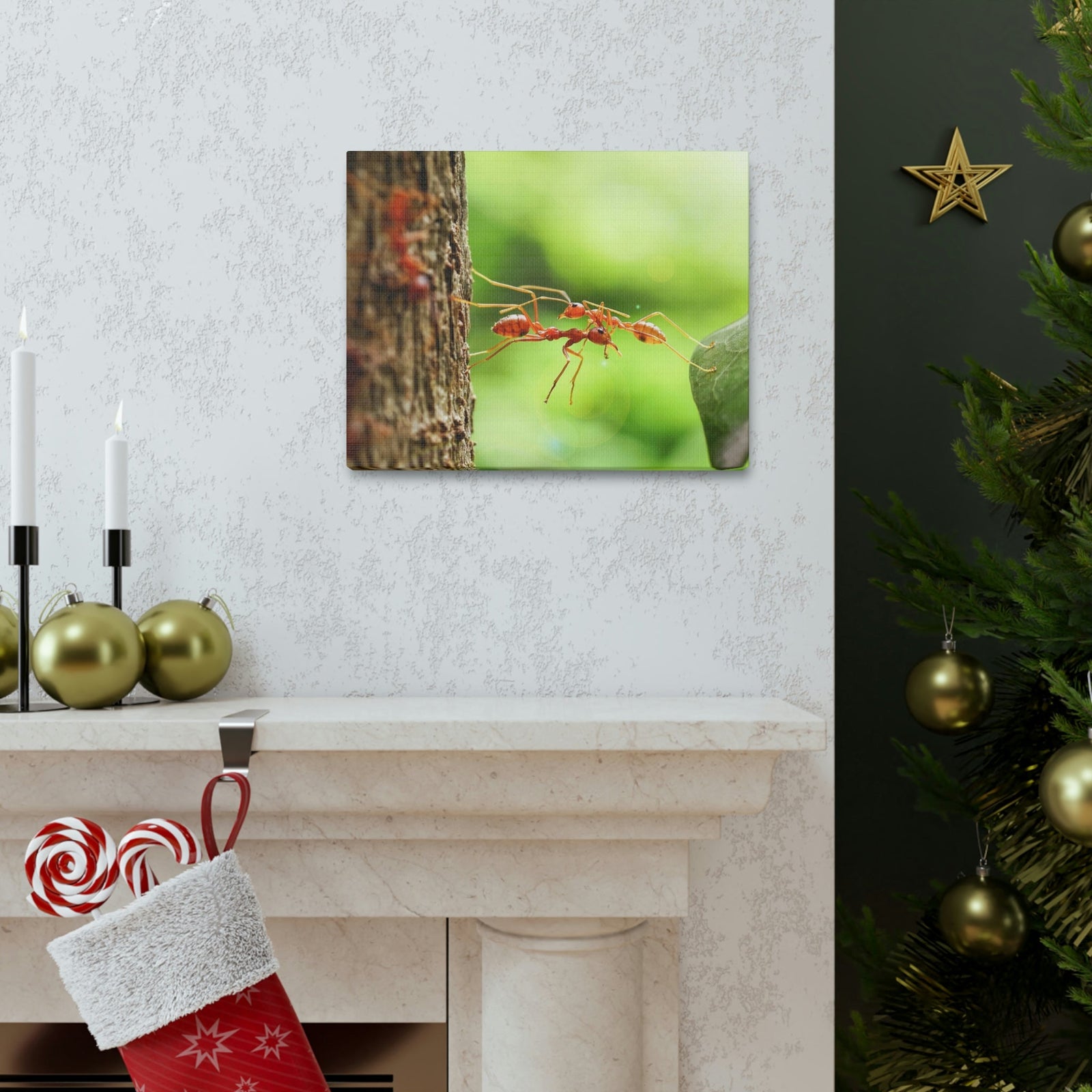 Happy Ant Couple Together Again Ant Outside Wall Art Ready To Hang Unframed-Express Your Love Gifts