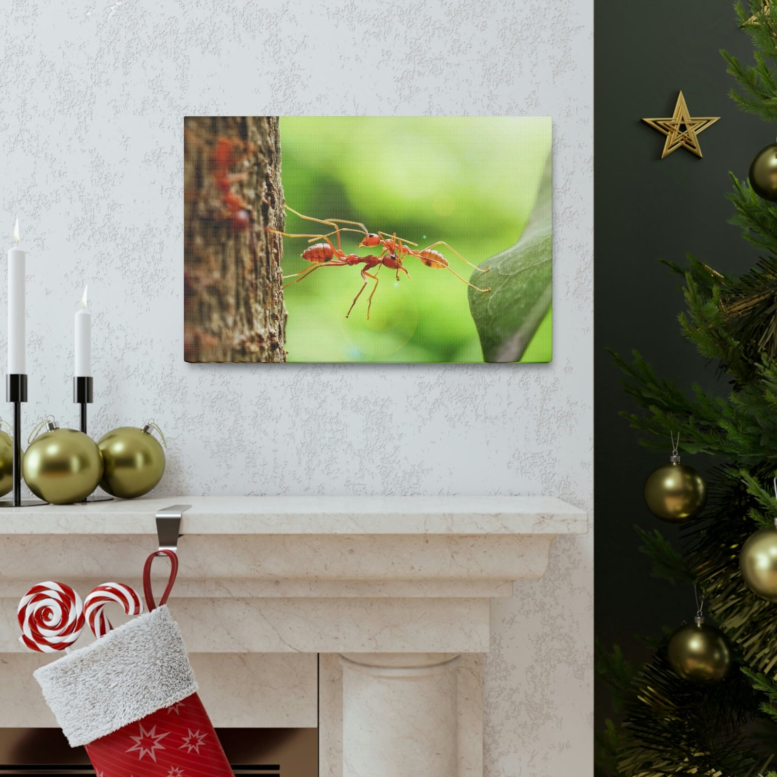 Happy Ant Couple Together Again Ant Outside Wall Art Ready To Hang Unframed-Express Your Love Gifts