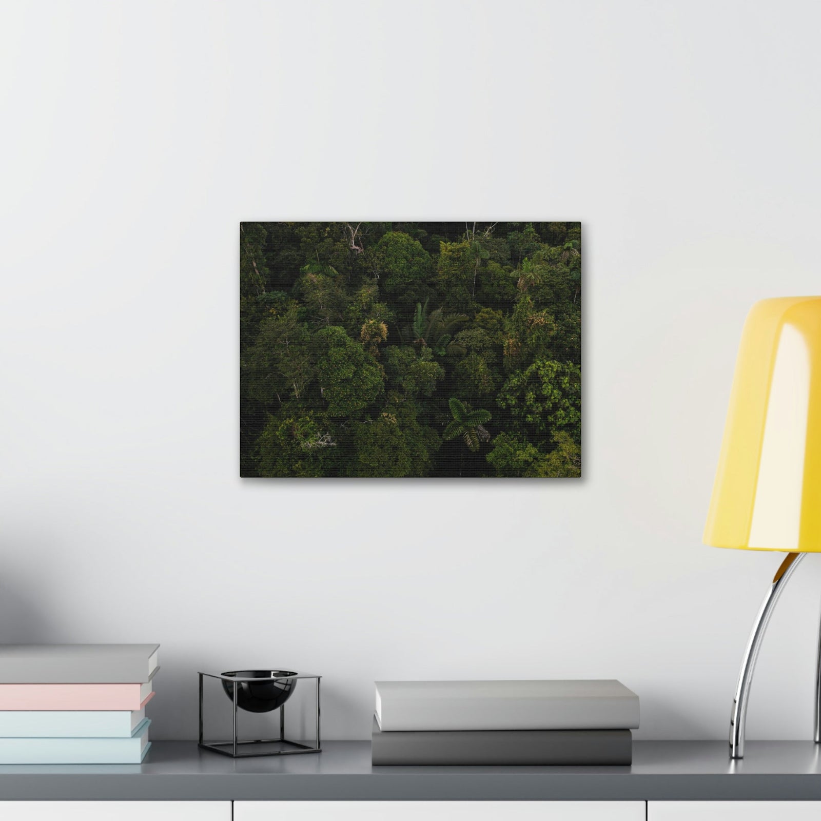 Incredible Aerial View of a Rainforest Scene Beautiful Wondrous and Astounding Beauty Nature Scene Different Big Trees Wall Art Ready to Hang Unframed-Express Your Love Gifts
