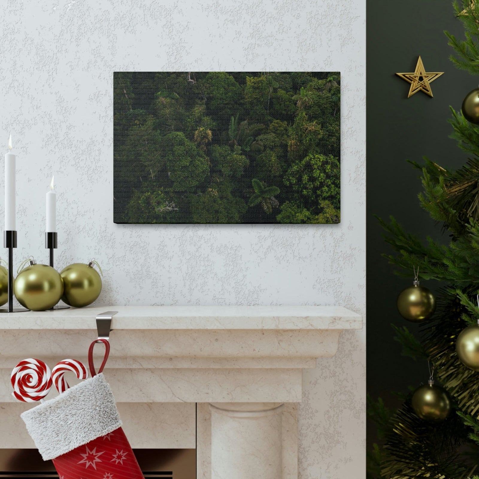 Incredible Aerial View of a Rainforest Scene Beautiful Wondrous and Astounding Beauty Nature Scene Different Big Trees Wall Art Ready to Hang Unframed-Express Your Love Gifts