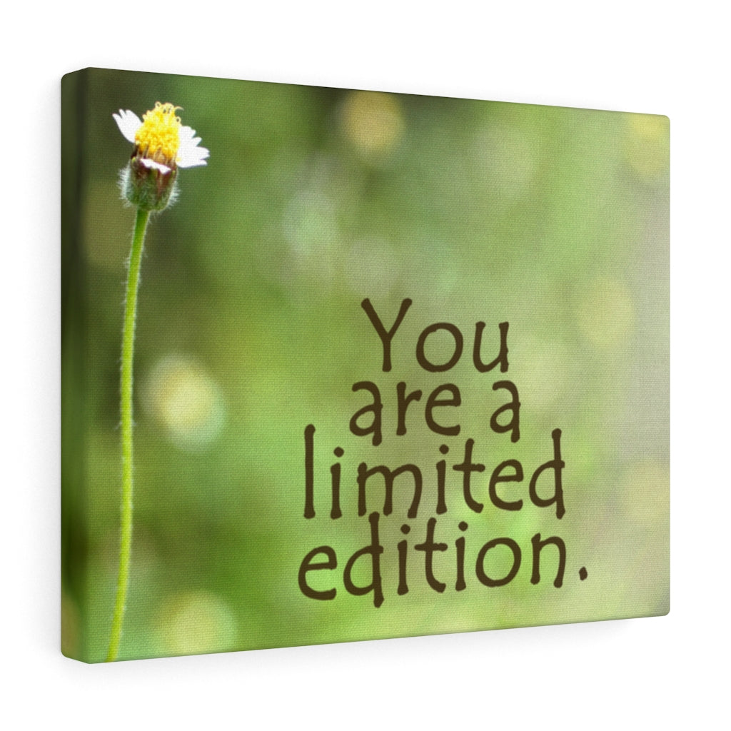 Scripture Walls Inspirational Wall Art You Are A Limited Edition Motivational Print Ready to Hang Artwork Unframed-Express Your Love Gifts