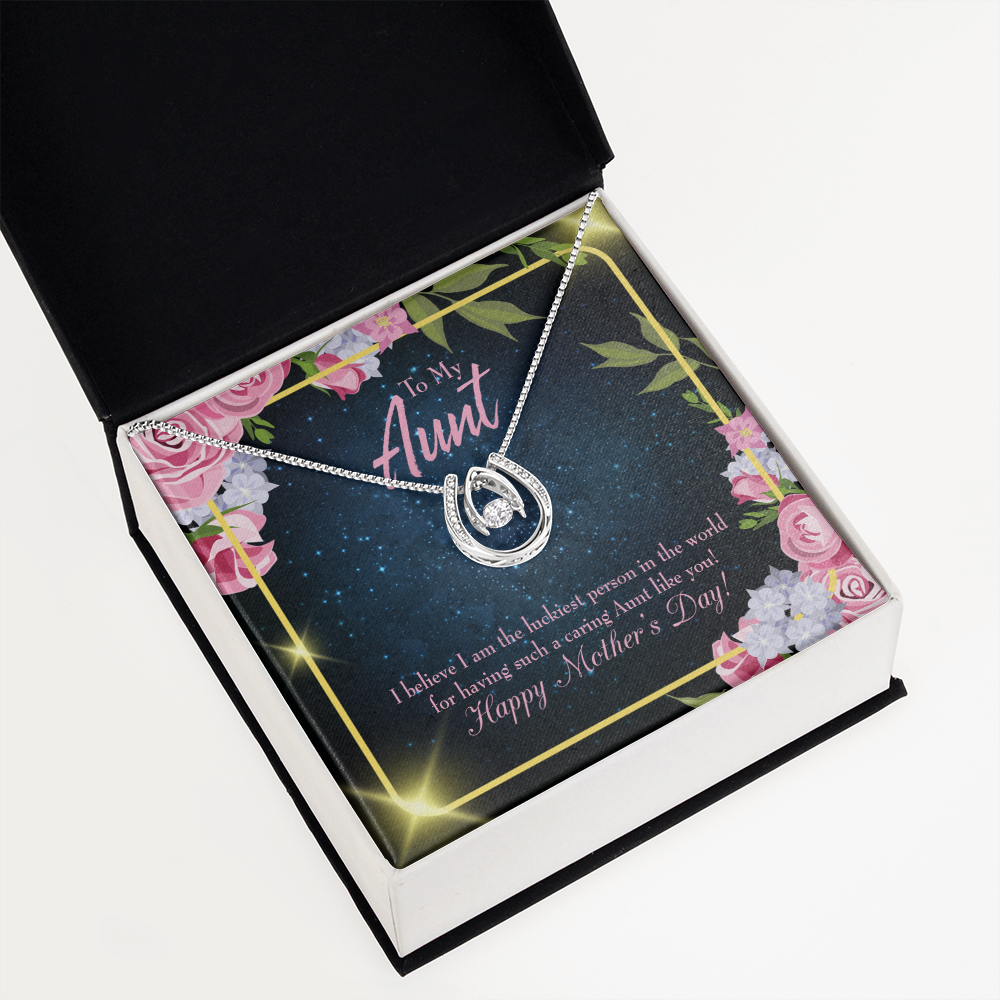 Luckiest Aunt Lucky Horseshoe Necklace Message Card 14k w CZ Crystals-Express Your Love Gifts