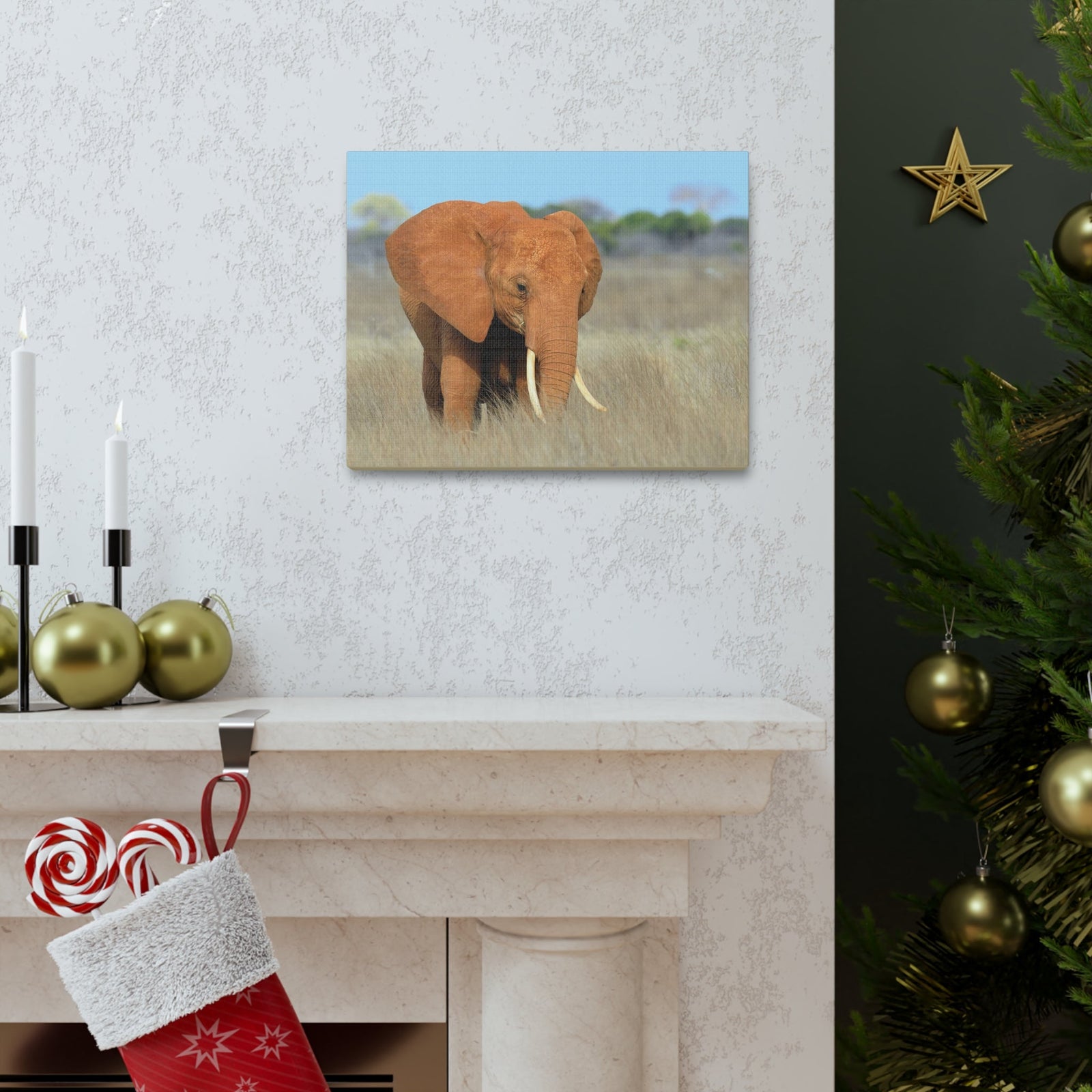 Majestic African Elephant on Grassland Outdoor Wall Art Ready To Hang Unframed-Express Your Love Gifts