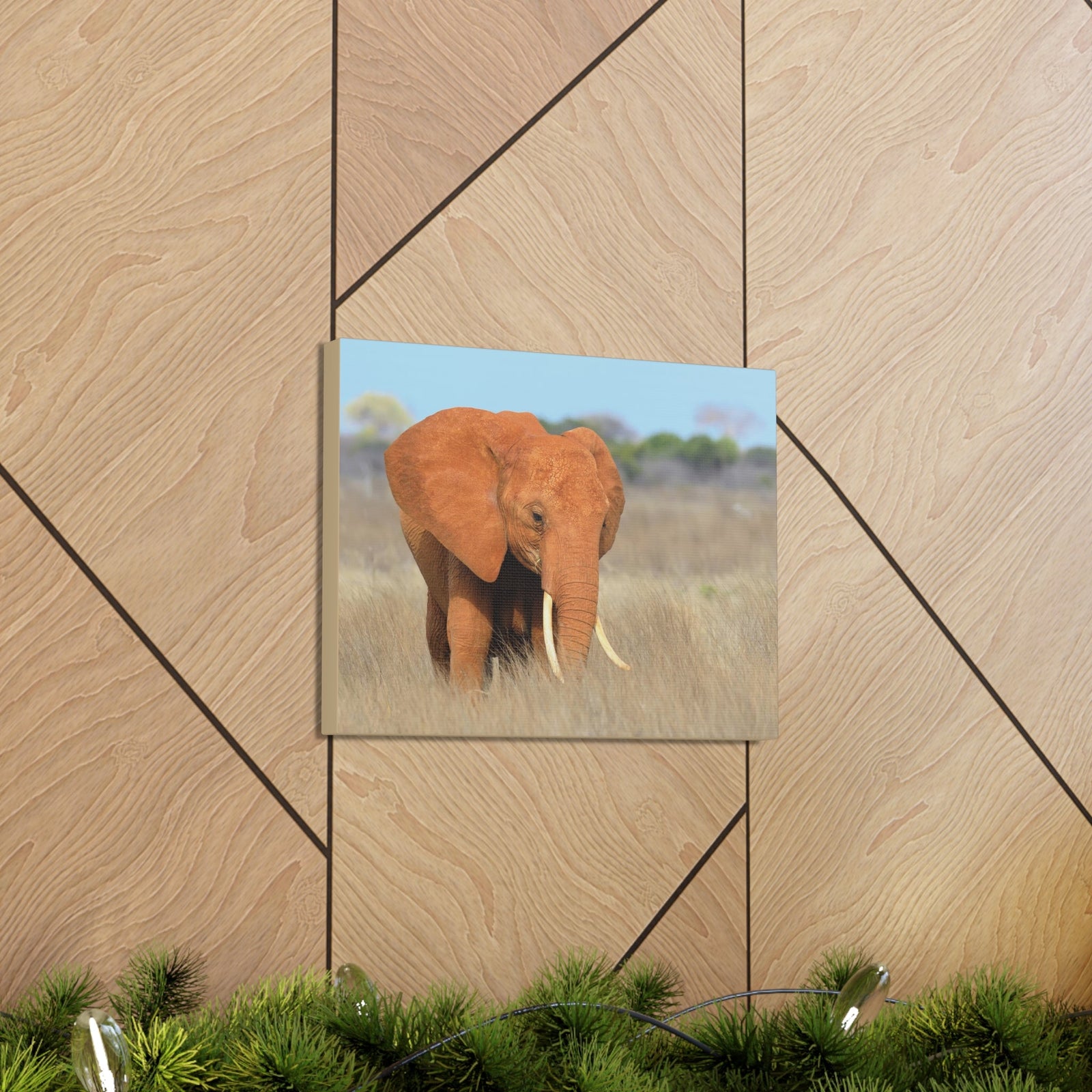 Majestic African Elephant on Grassland Outdoor Wall Art Ready To Hang Unframed-Express Your Love Gifts