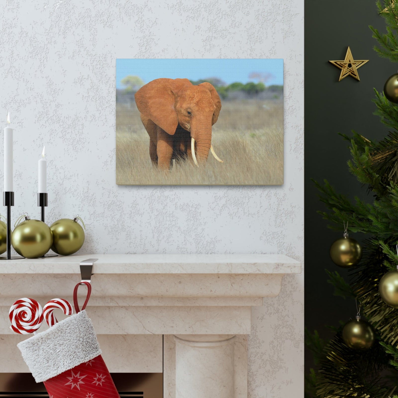 Majestic African Elephant on Grassland Outdoor Wall Art Ready To Hang Unframed-Express Your Love Gifts